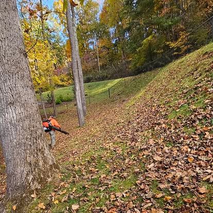  for Lopez Landscaping and Tree Service  in Waynesville, NC
