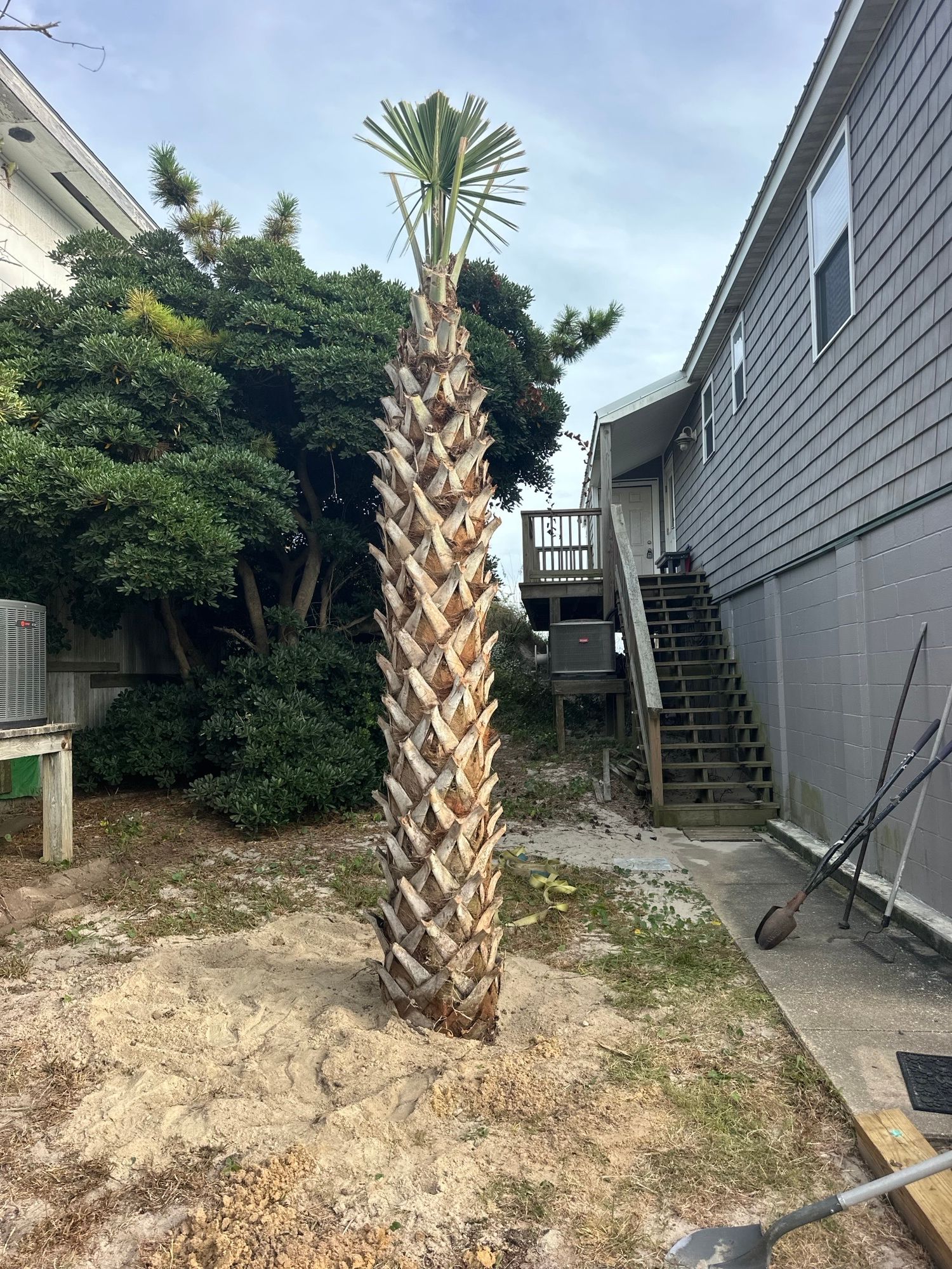 All Photos for Carolina Odd Jobs Inc. in Sneads Ferry, NC