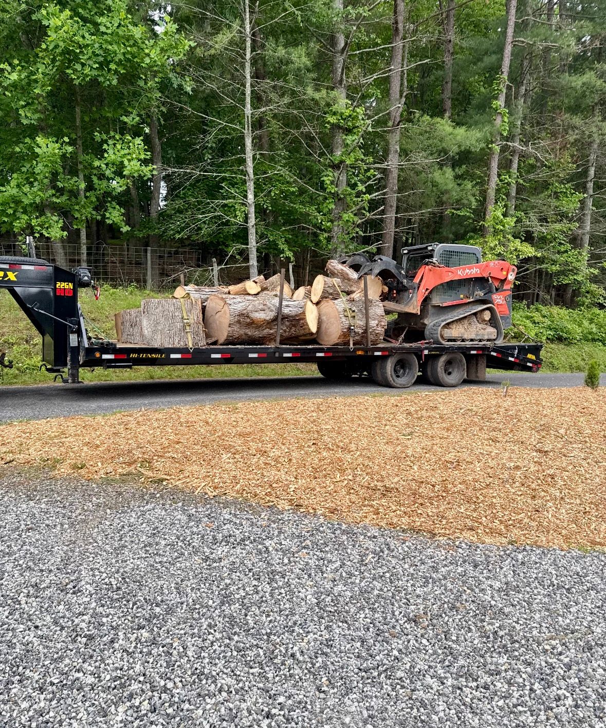 for Clear Tree Land Solutions in Dawson County, GA
