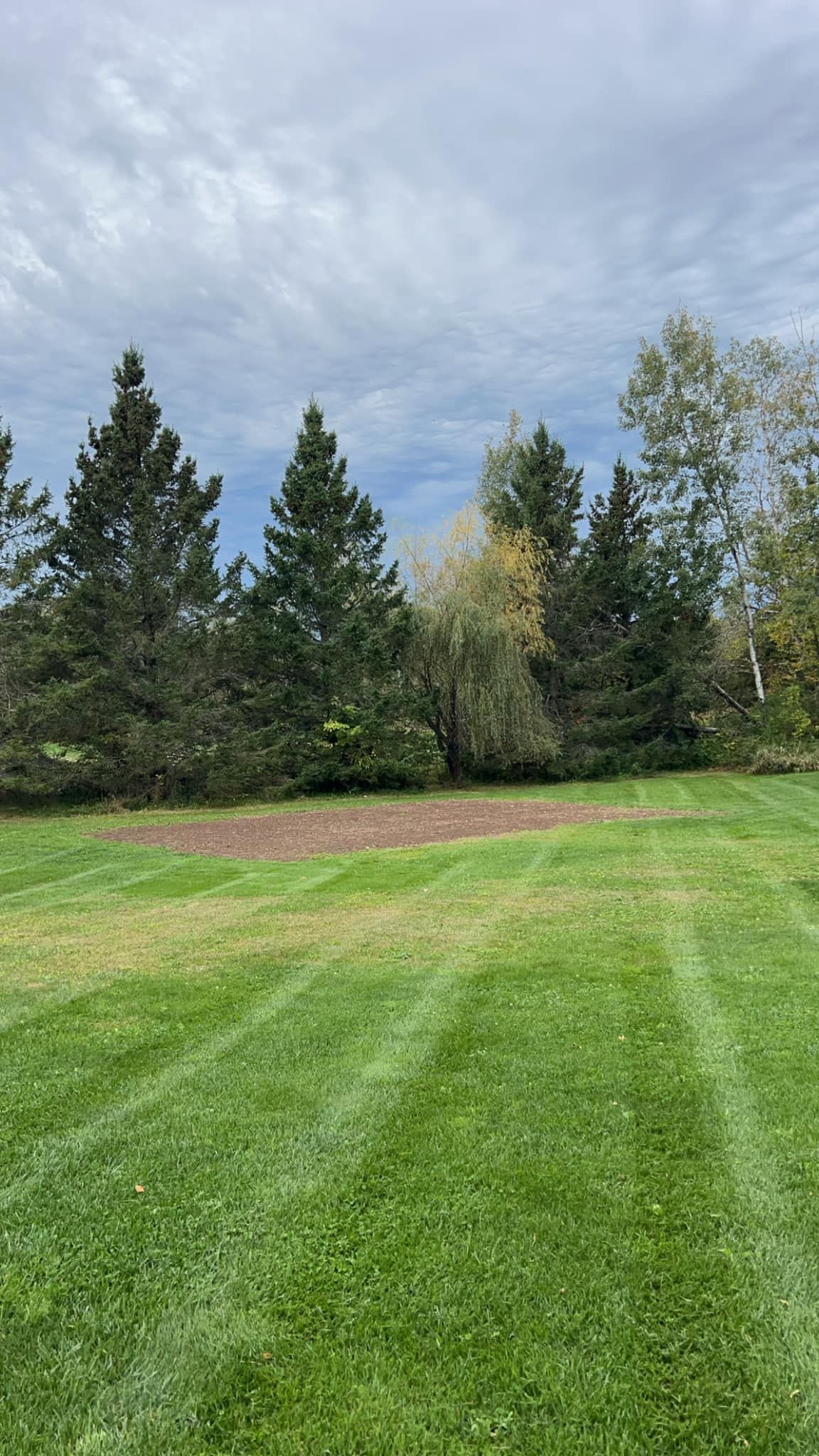  for Mahner Service in Medford, WI