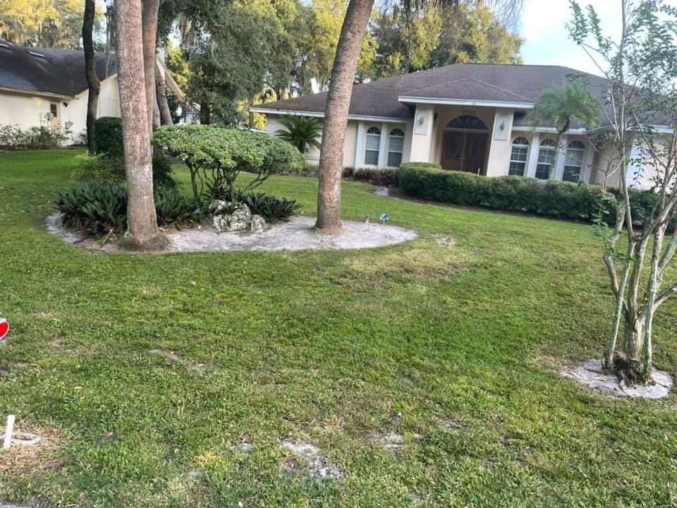 All Photos for A&D Lawn Care of Lakeland in Lakeland, FL