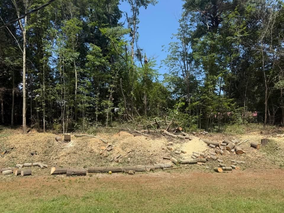  for Down South Tree Care and Landscaping in Maiden, NC