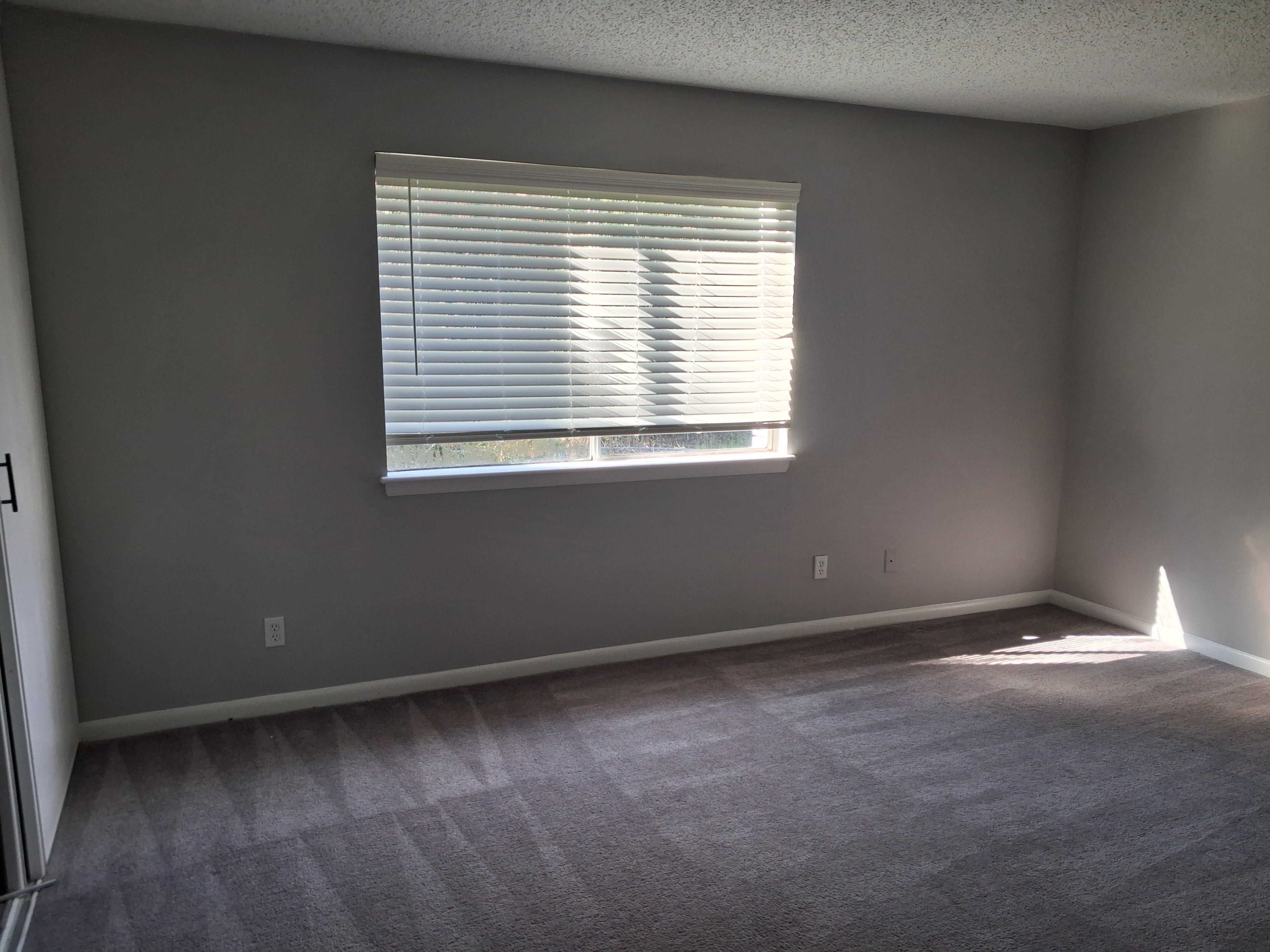  for Raw Paintings, Sheetrock Repairs and Cleaning in Columbia, SC