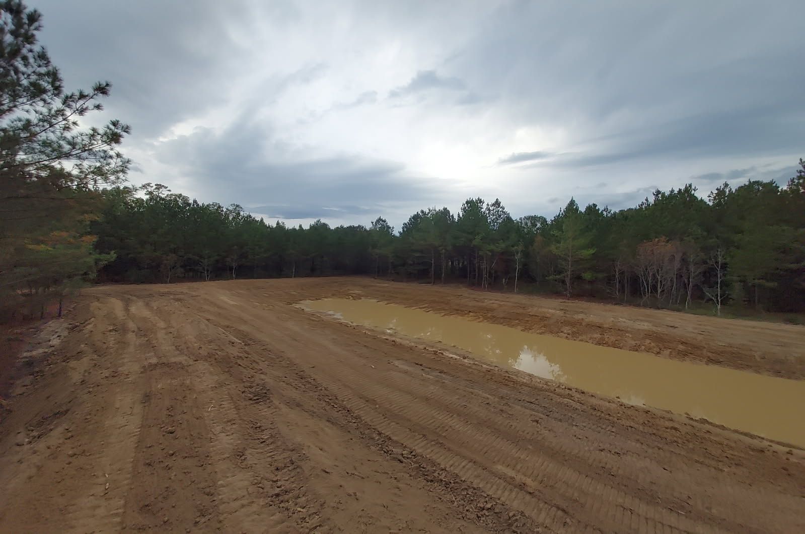 All Photos for Big Thicket Land Clearing in Kountze, TX