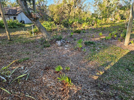  for Bay Area Bobcat in Riverview, FL