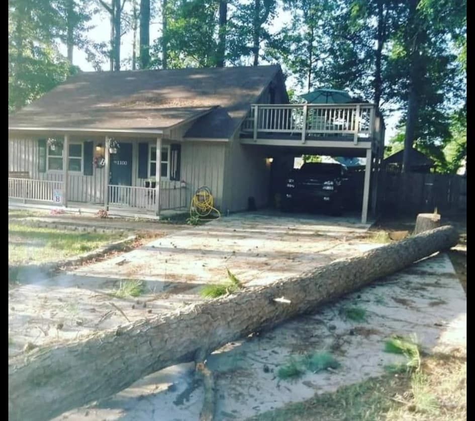  for Millers Tree Service in Saline County, AR