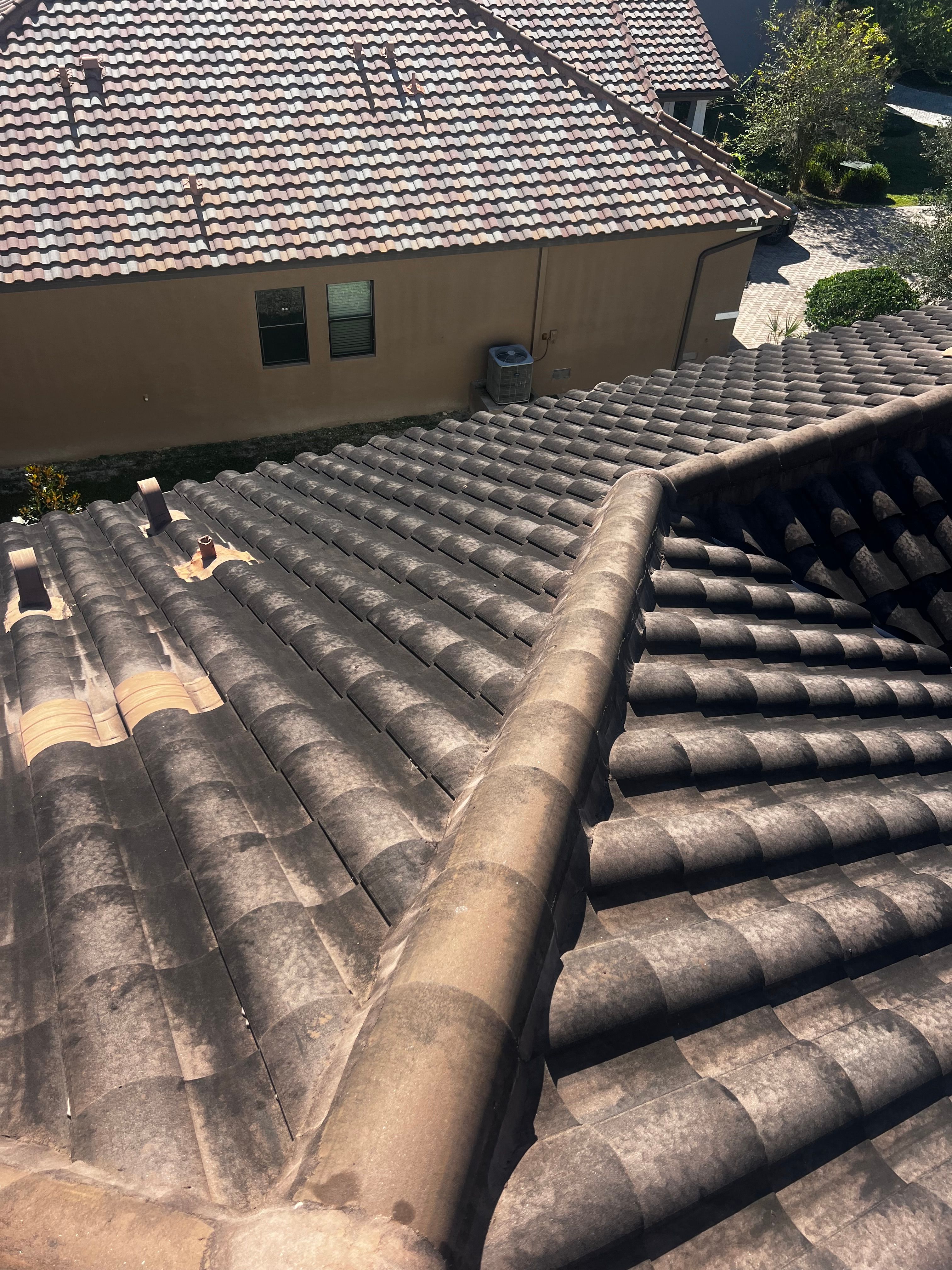  for Barr None Wash Pro in Tampa, FL