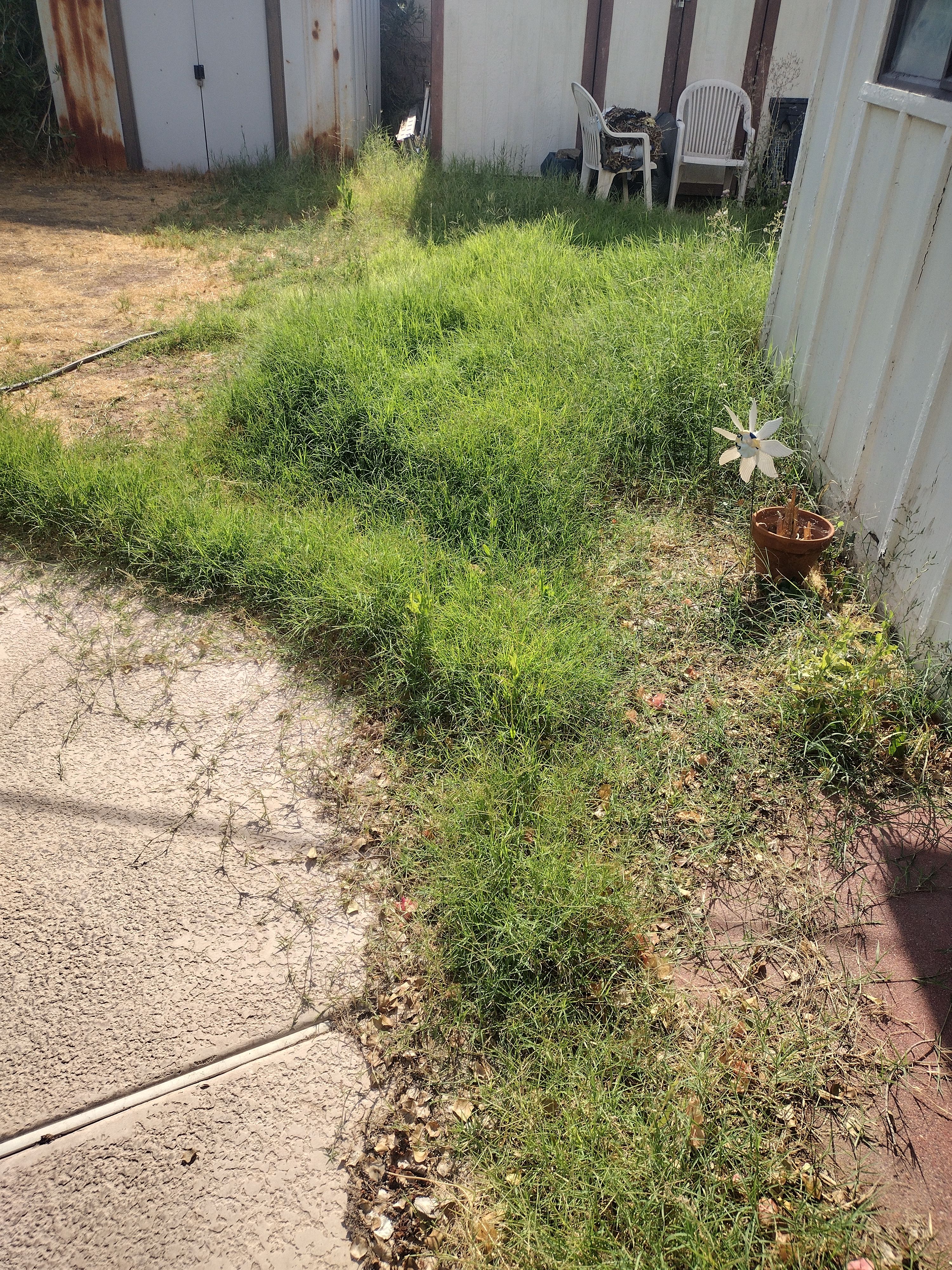  for Smooth Lawn Service in Mesa, AZ