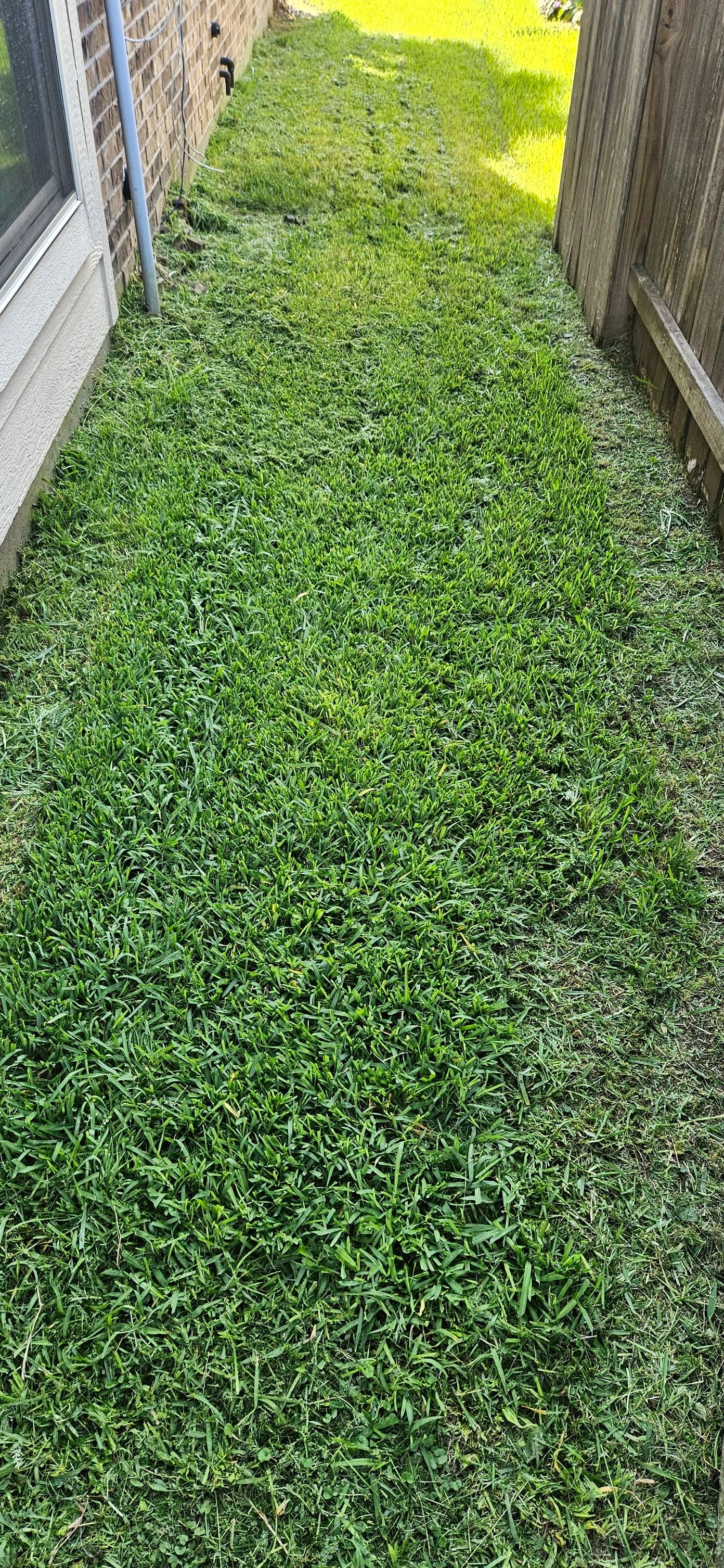 All Photos for Gulf-Tex Lawn Care in Baytown, TX
