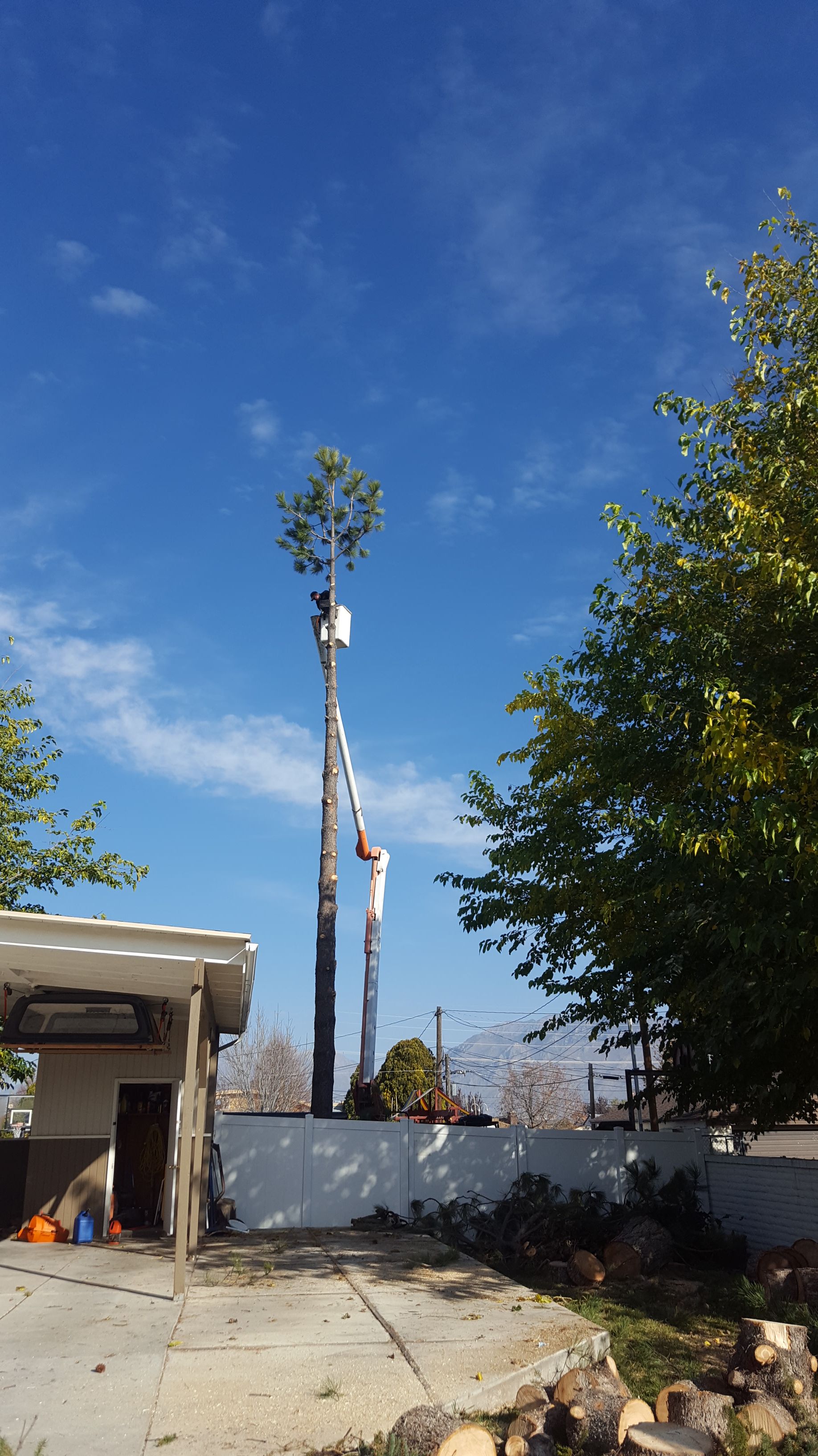  for Platinum Lawn Service in Santaquin, UT