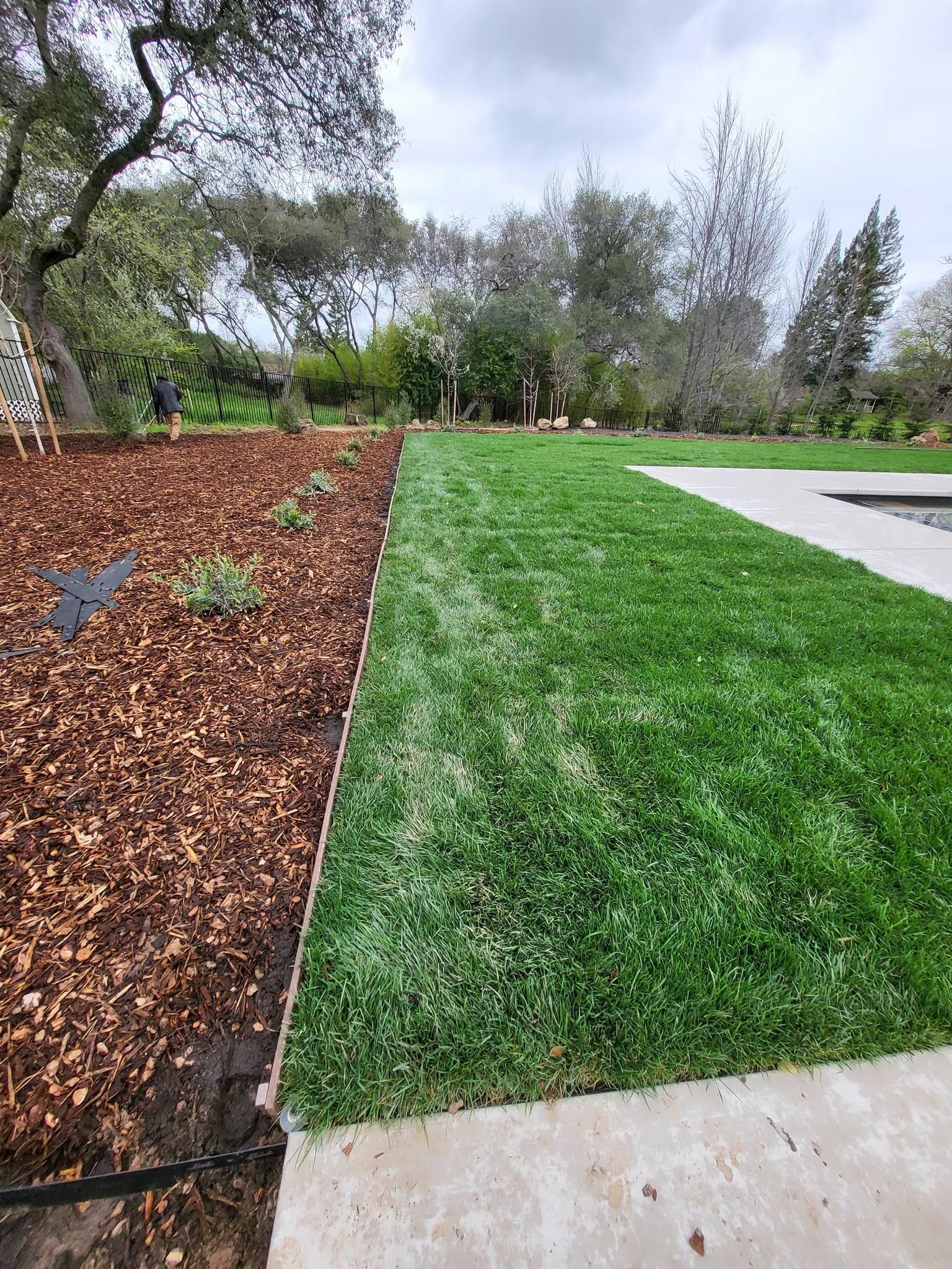  for Terra Heights Tree Experts & Landscaping  in Grass Valley,  CA