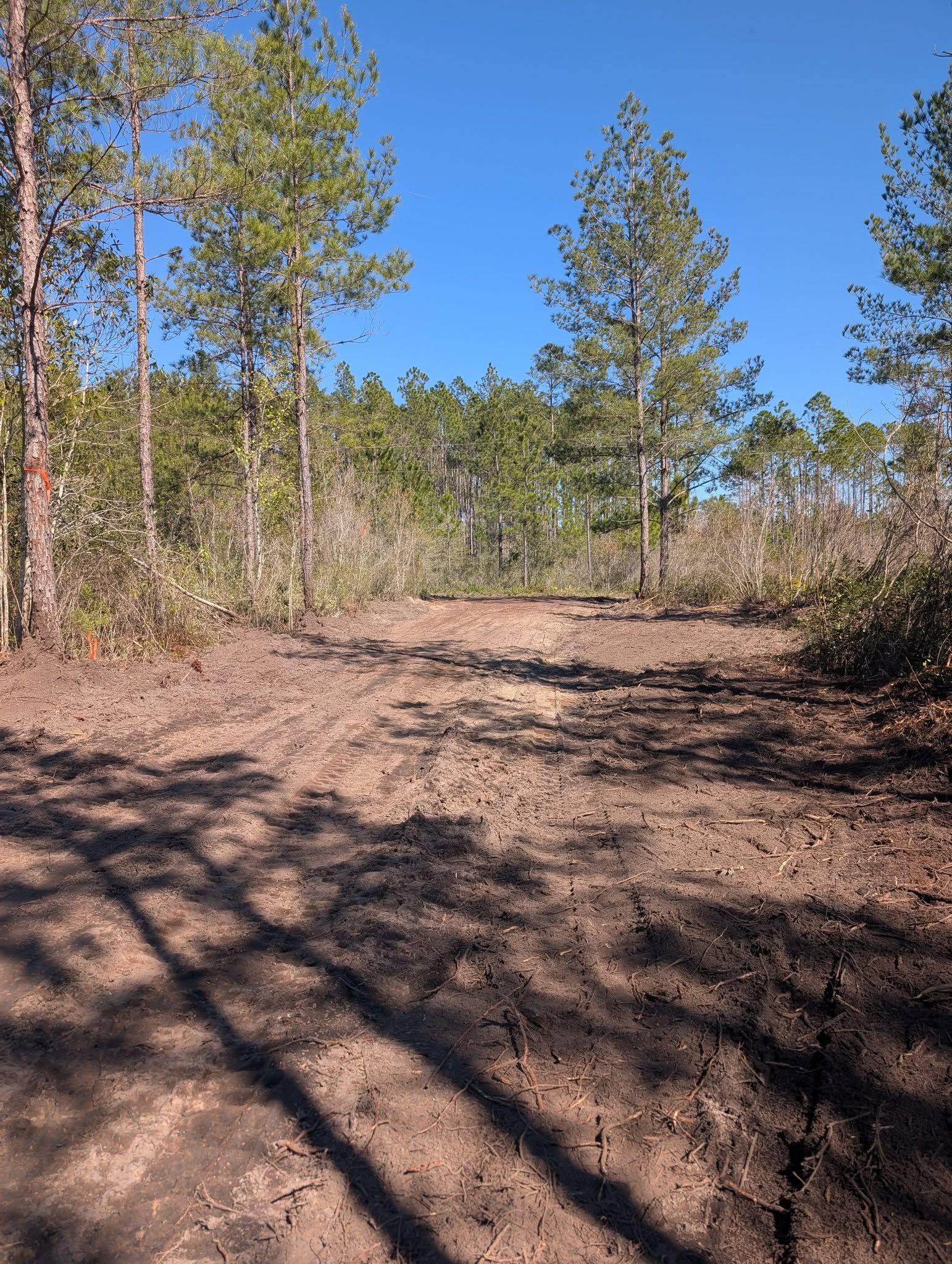  for TDWS Land Management in Blackshear, GA