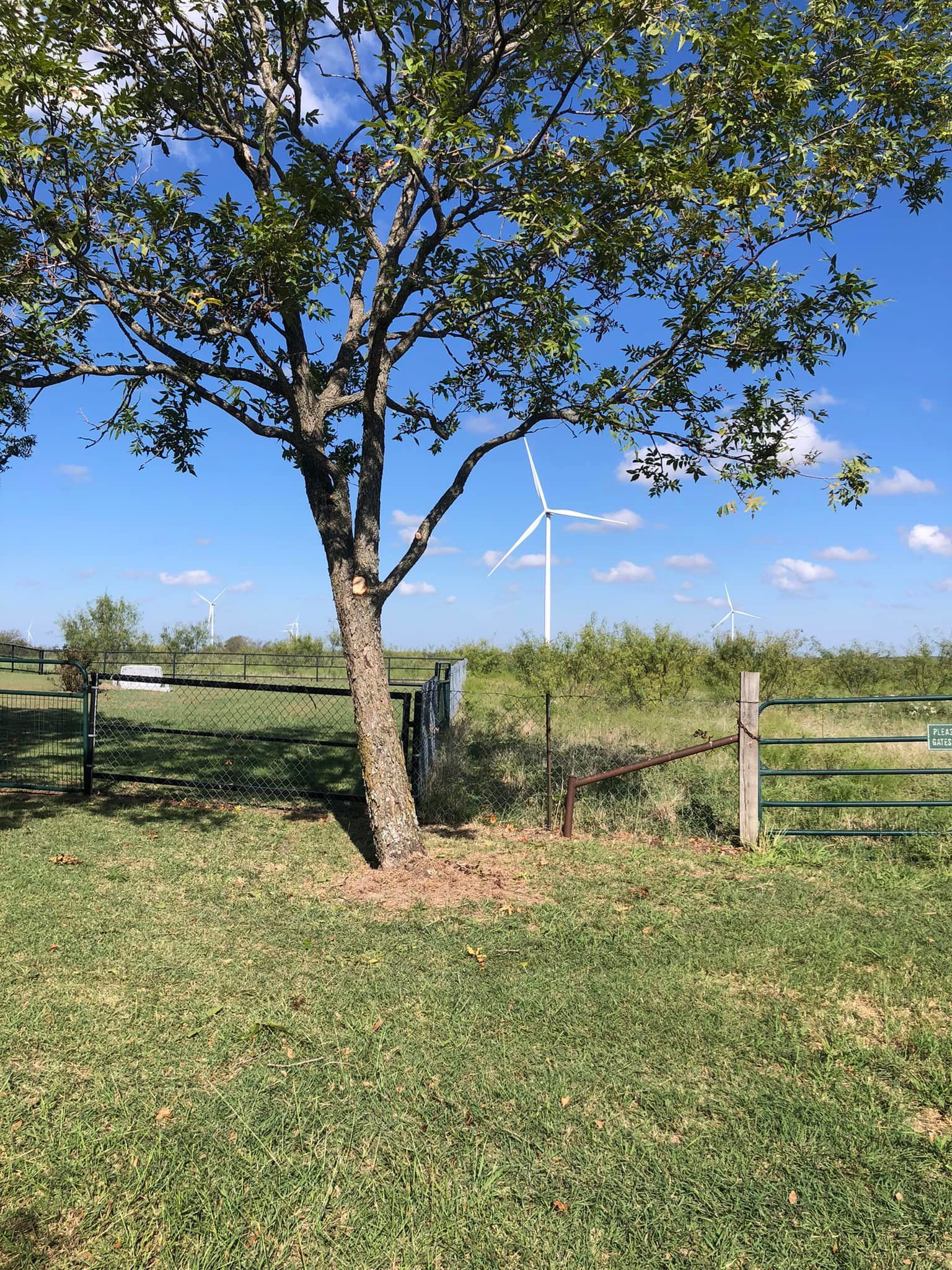  for Piña’s Lawncare in Waco, TX