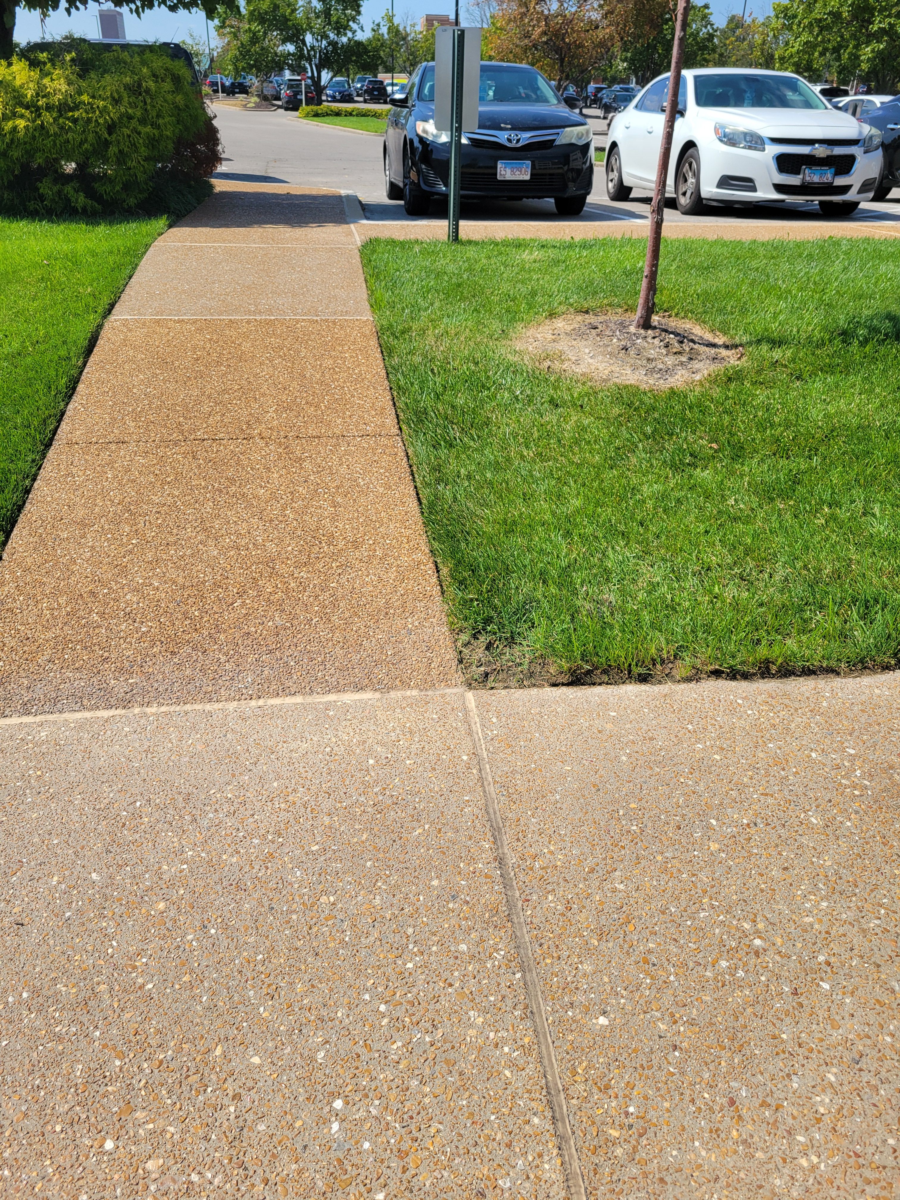  for Contemporary Landscape in St. Louis, MO