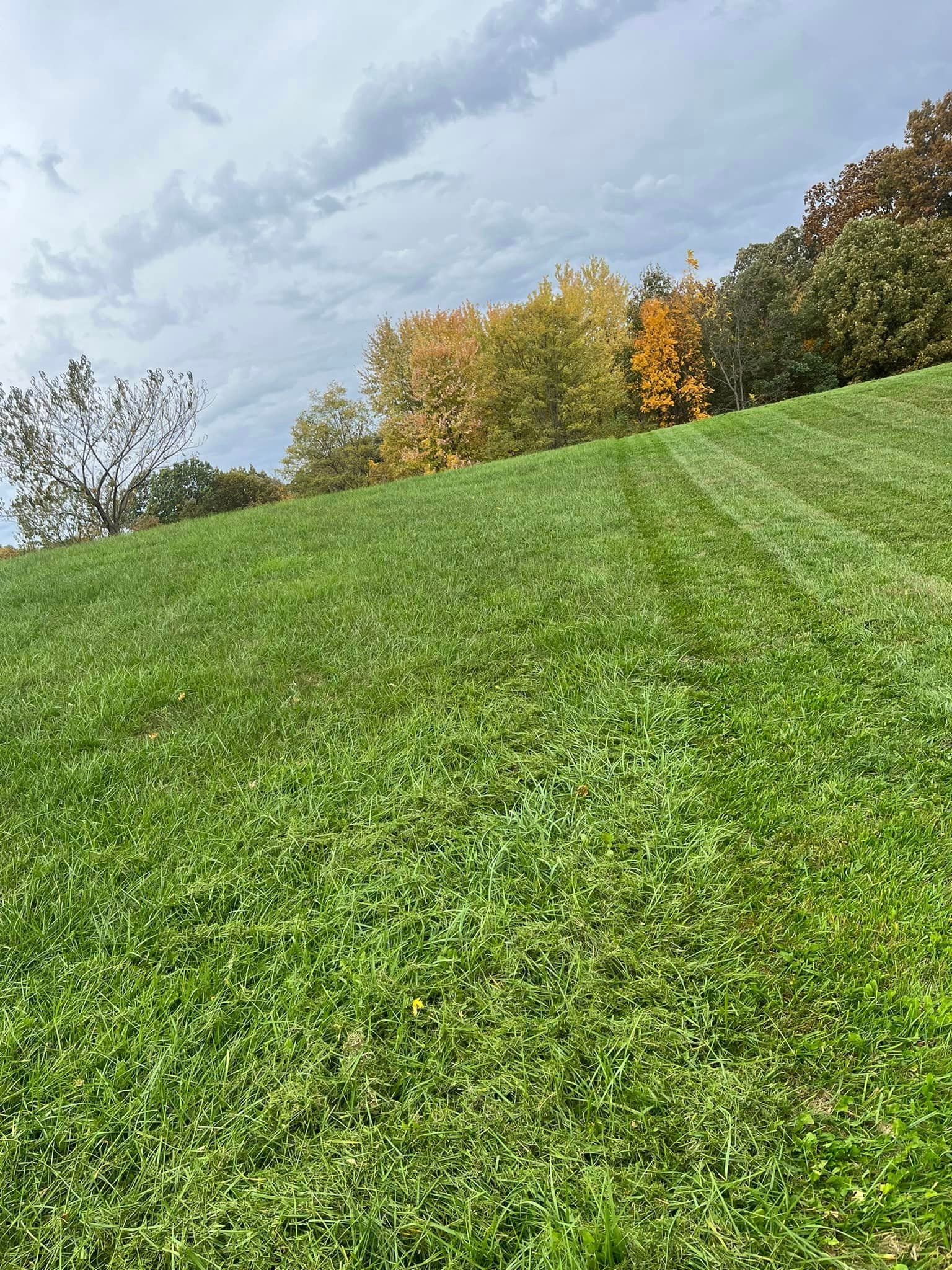 Lawn Care for Hatalla Lawn Maintenance  in Springfield, IL