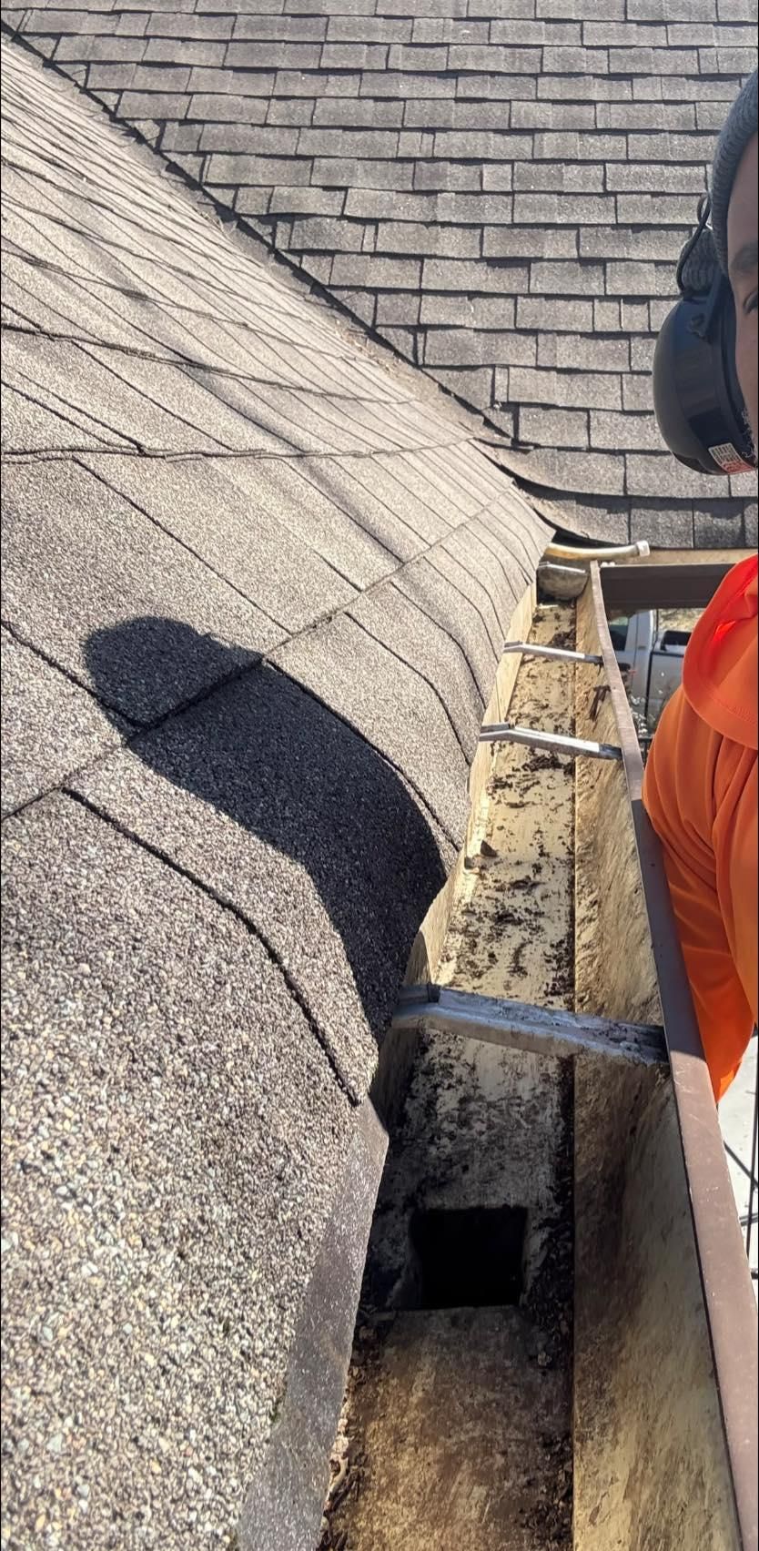  for Grass Management in Nashville, TN