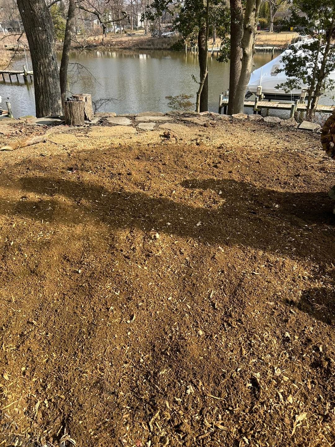 Tree Removal for Mad Dust Stump Grinding in Howard County, MD