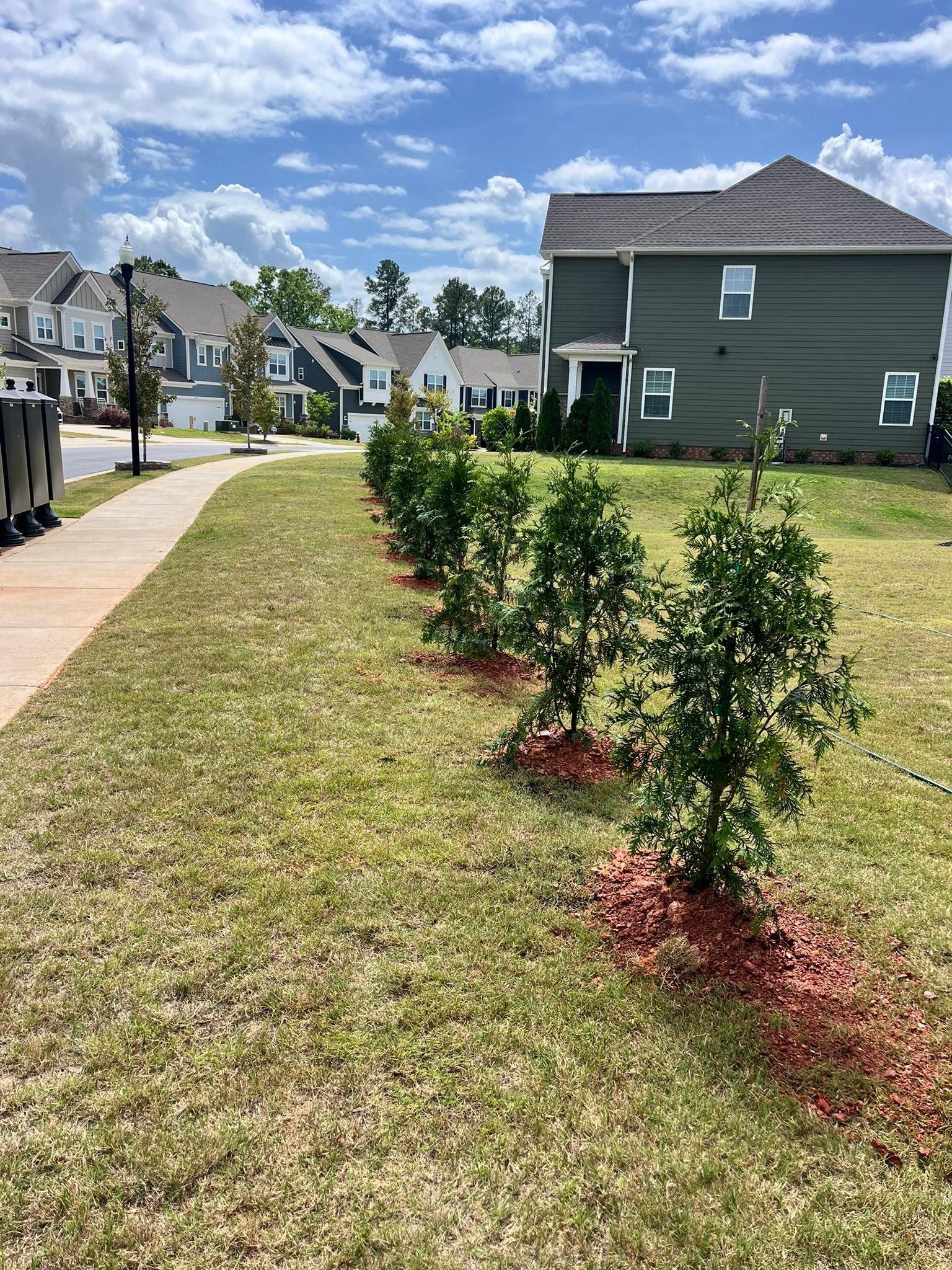  for Piedmont Lawn and Landscaping in Lexington, NC