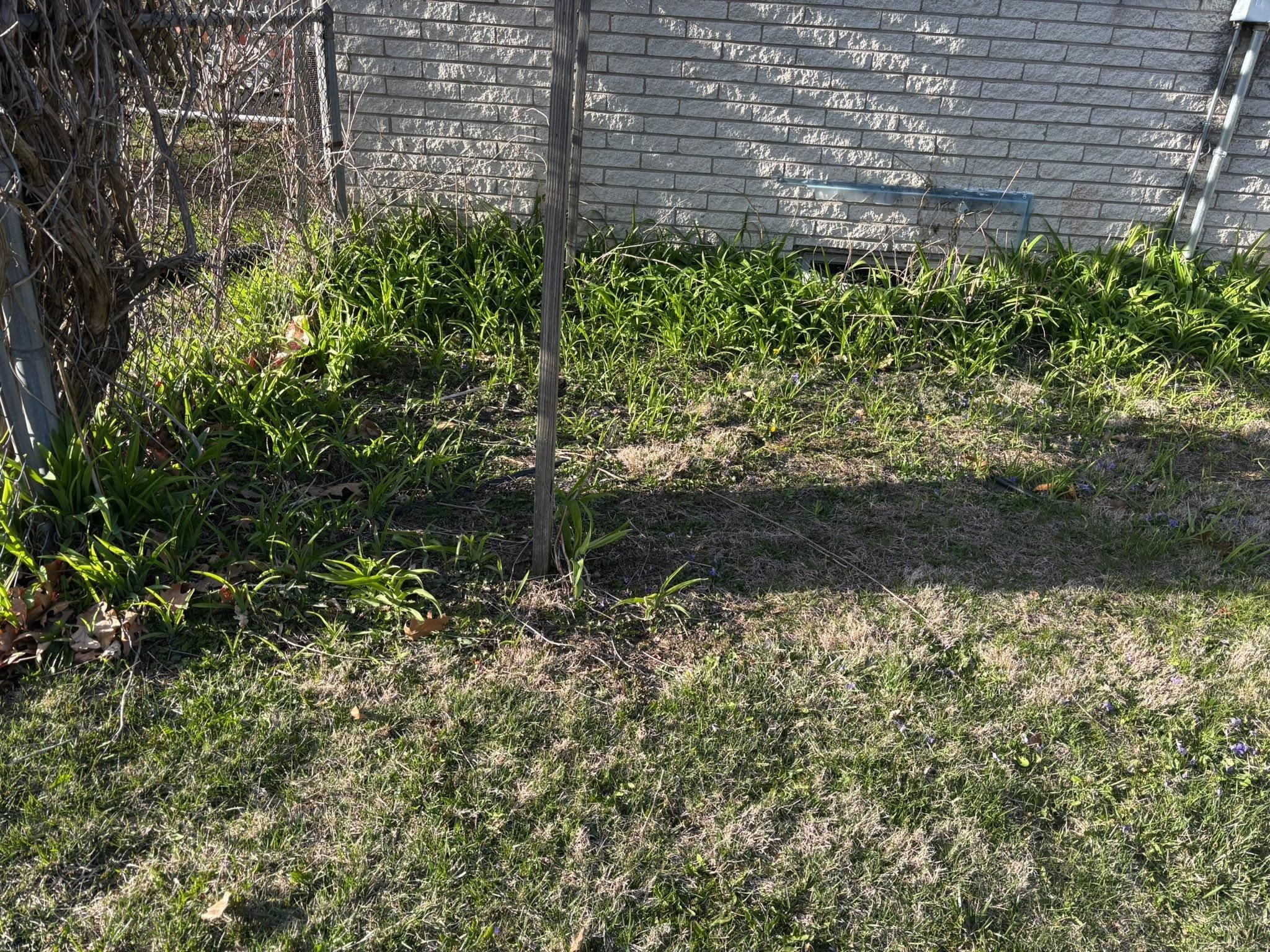  for Cena Landscaping in Rockford, IL