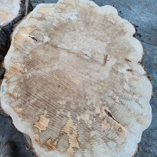  for The Baskins Sawmill in Port Angeles,  WA