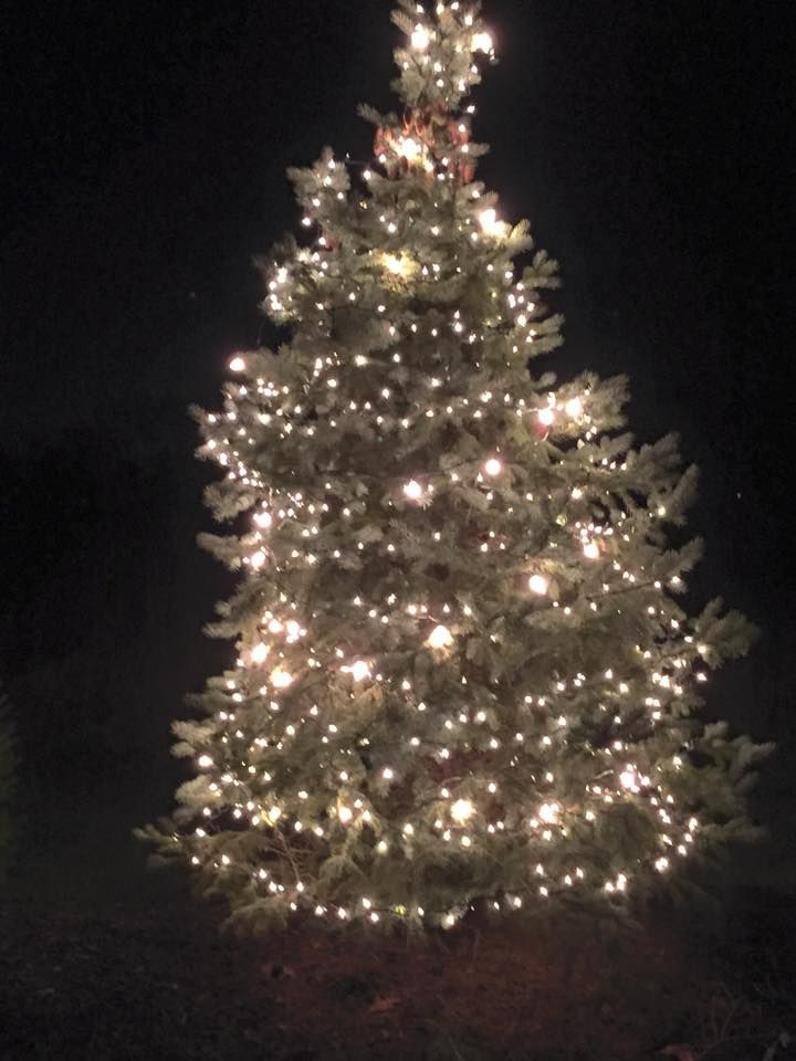 Permanent Light Installation for Christmas Light Installers in Indianapolis, IN