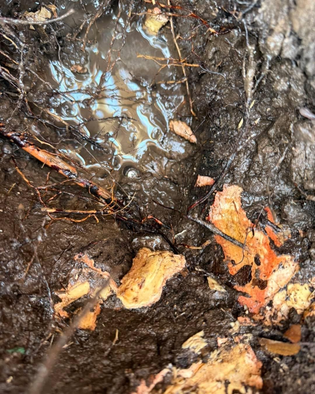  for AMV Outdoor Solutions  in Midland County, TX