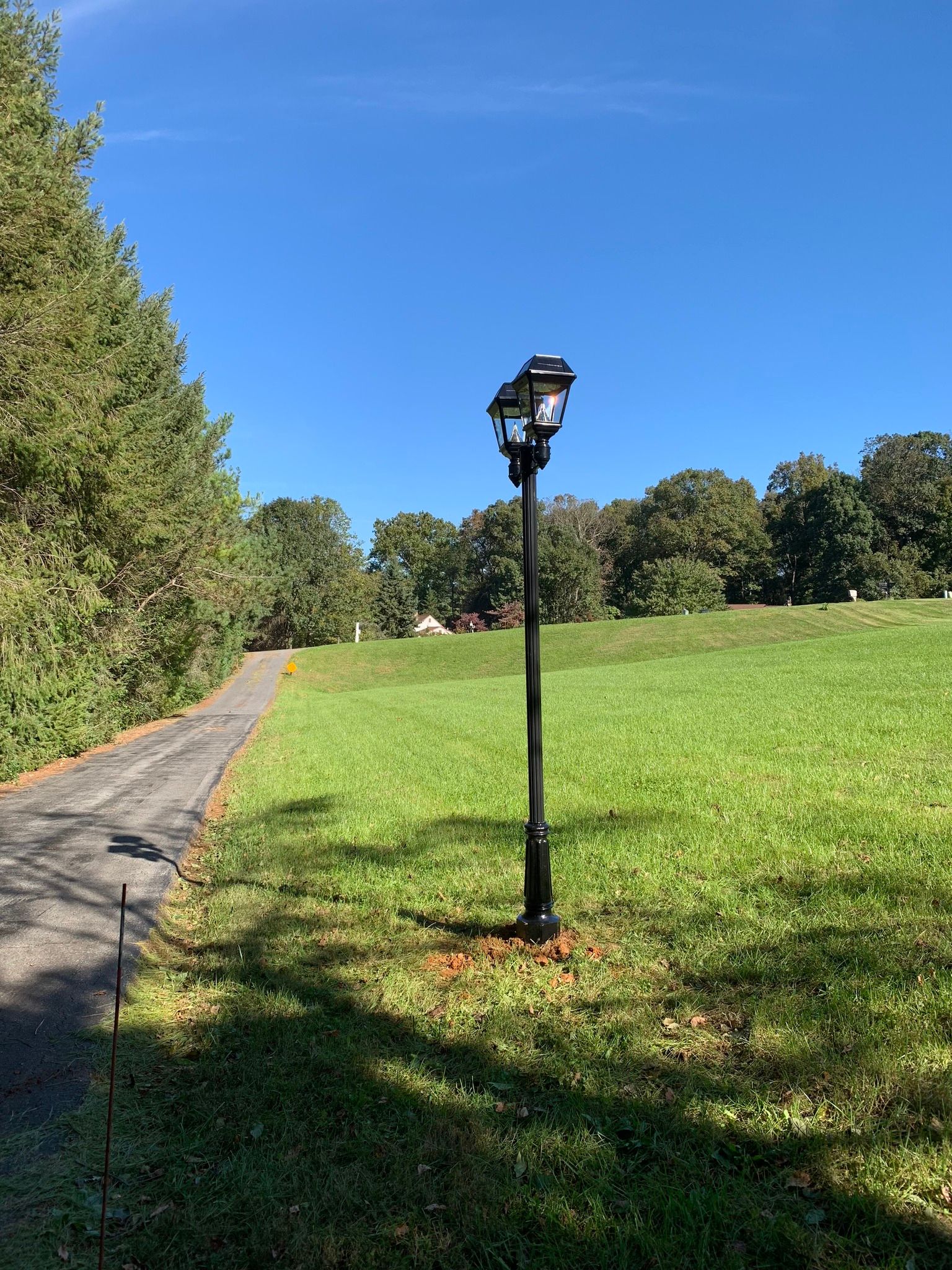  for Real Tree Signs and Mailbox  in Clearwater, FL