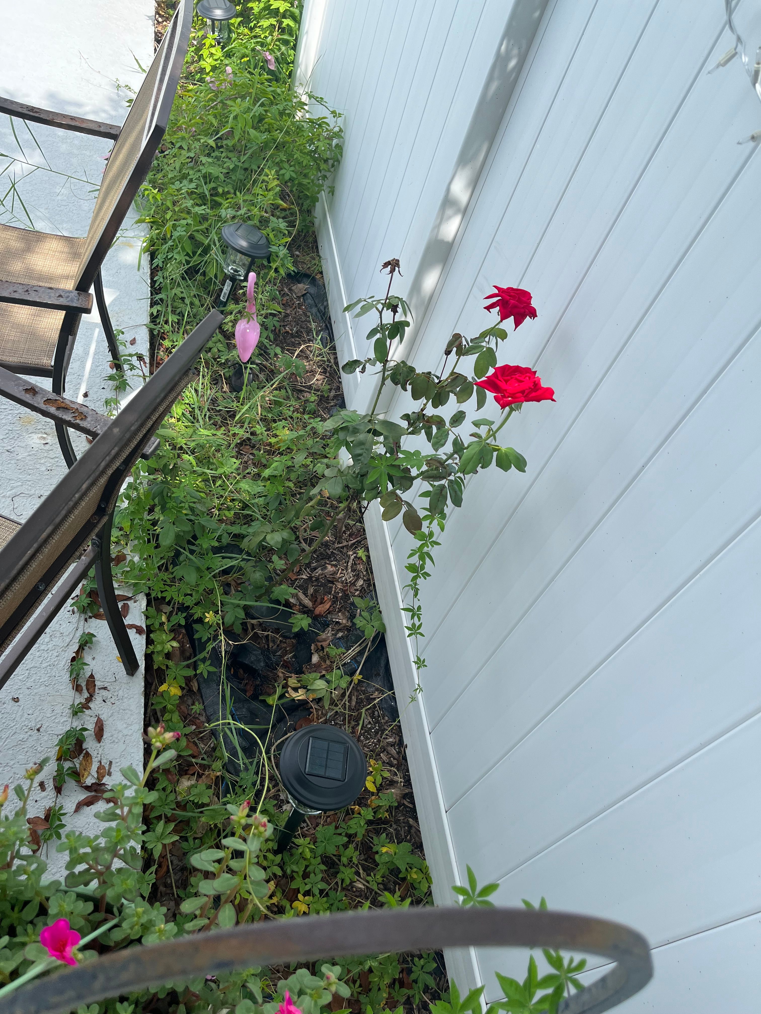  for Space Coast Property Maintenance and Management LLC in Melbourne, FL