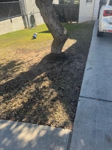  for Austin's Lawn Enforcement in Austin, TX