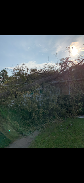 All Photos for Allstate Tree Service and Crane in Spring Lake Park, MN