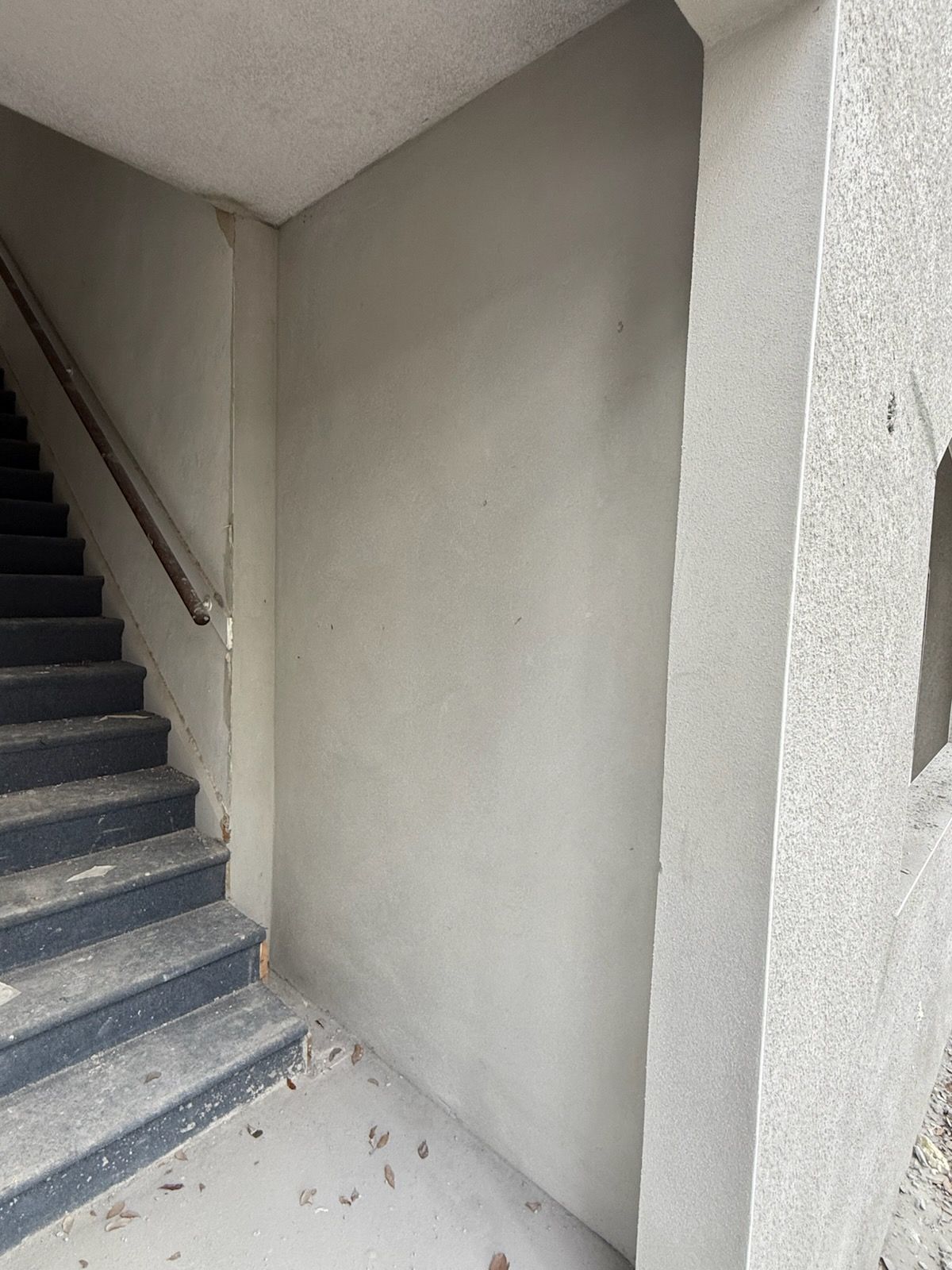  for Escorpio Painting in Tampa, FL