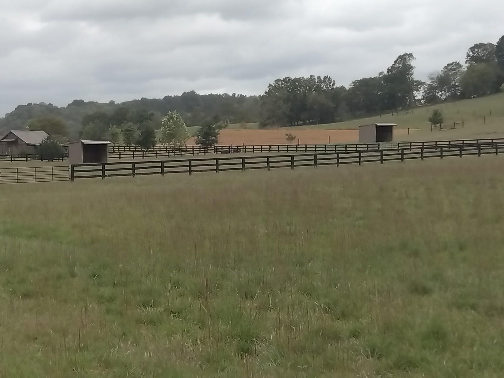 All Photos for King of Dirt in Cornersville, TN