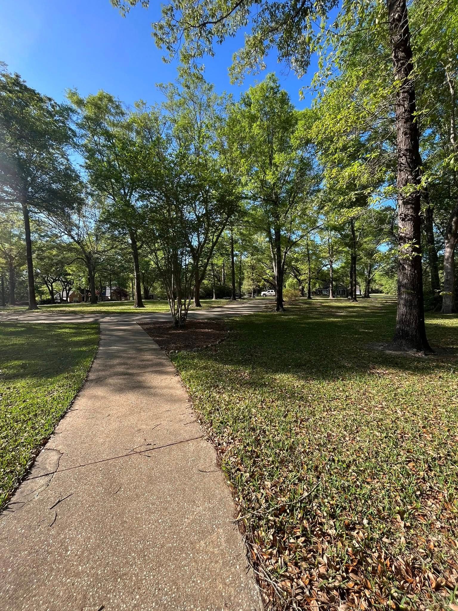  for Landscaping Pros in Hurley, MS