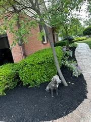  for A&A Lawnworks in Maximo, OH