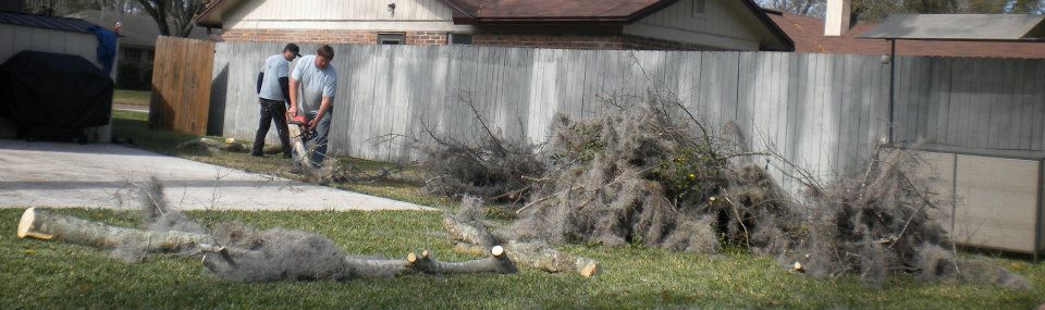  for Fast Cut Tree Service in Jacksonville Heights, FL