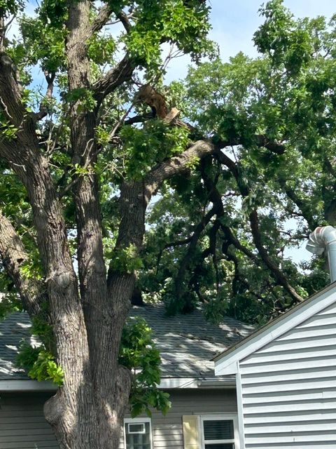 All Photos for Allstate Tree Service and Crane in Spring Lake Park, MN