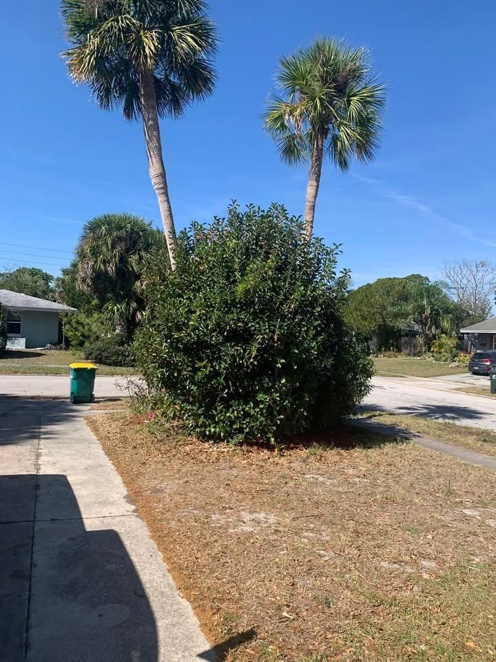  for Space Coast Property Maintenance and Management LLC in Brevard County, FL