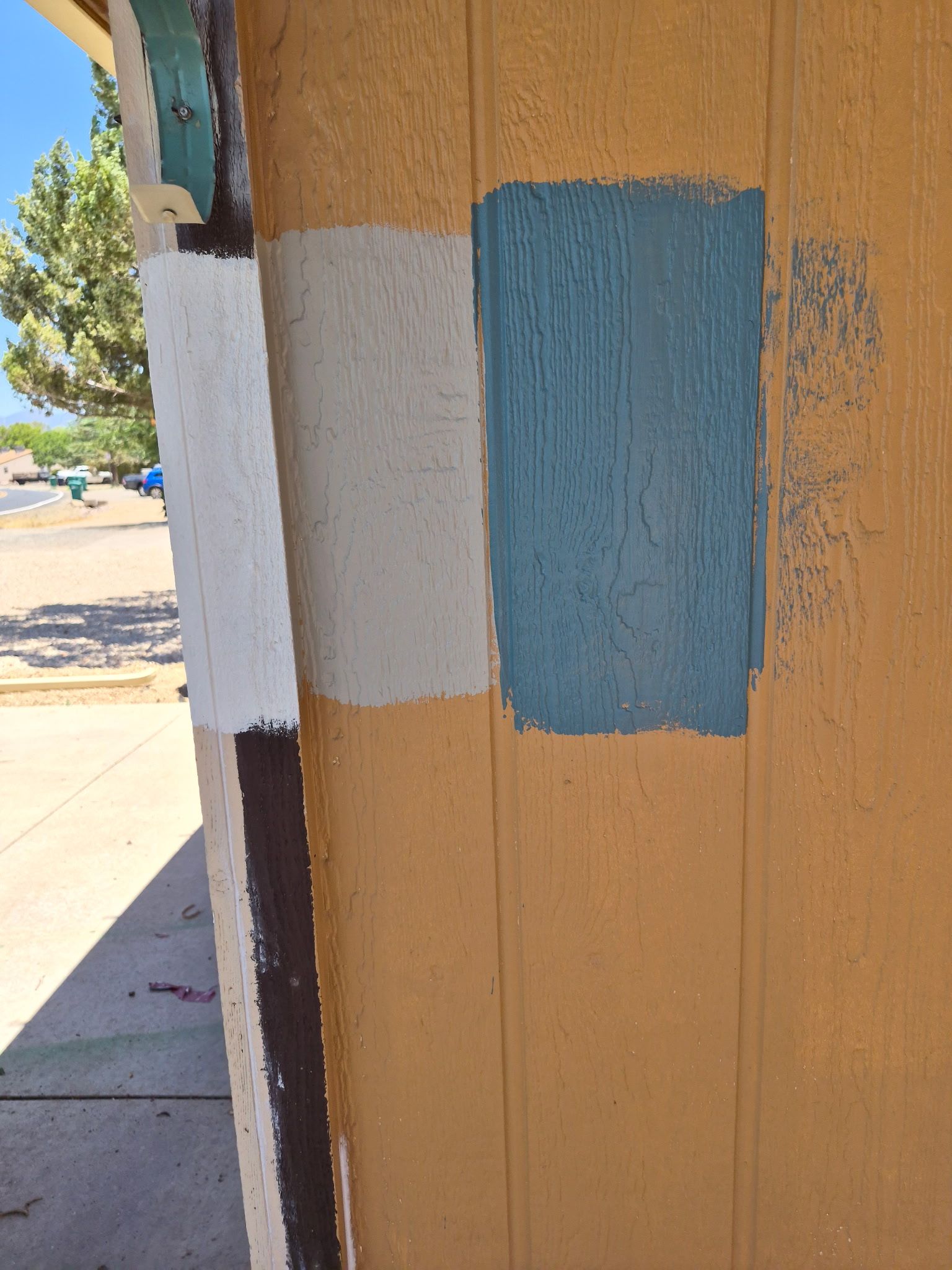  for True Vision Painting in Prescott Valley, AZ