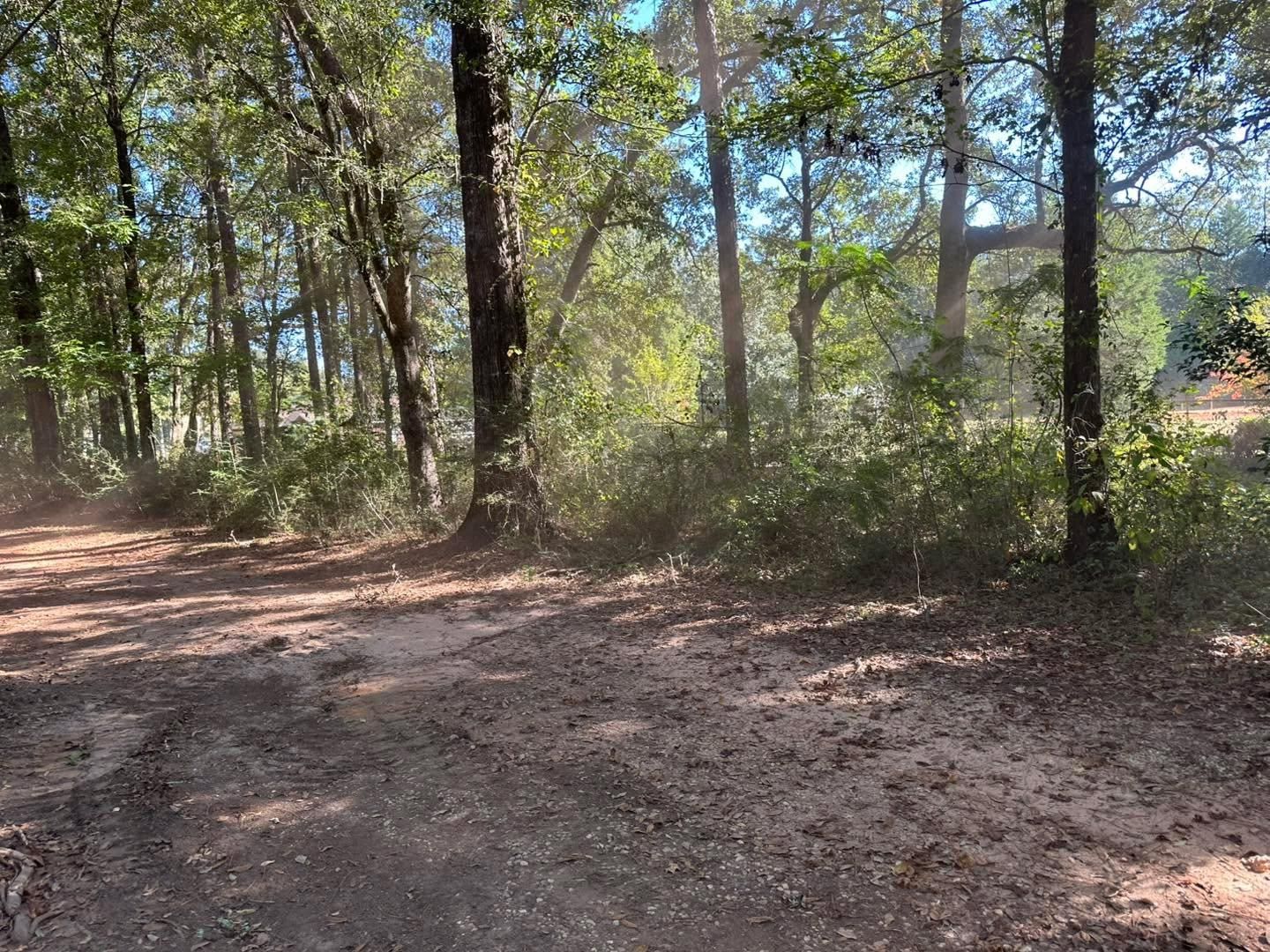  for White’s Land Maintenance in Milton,, FL