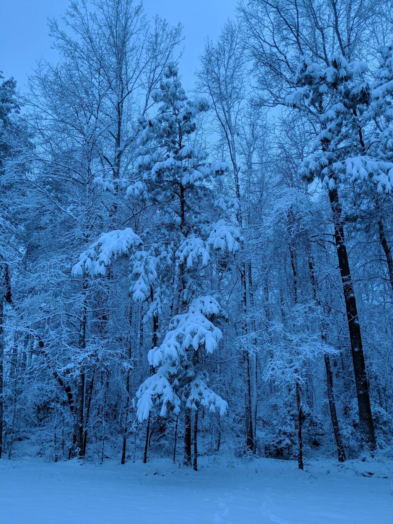  for CMS Electric in Louisburg, NC