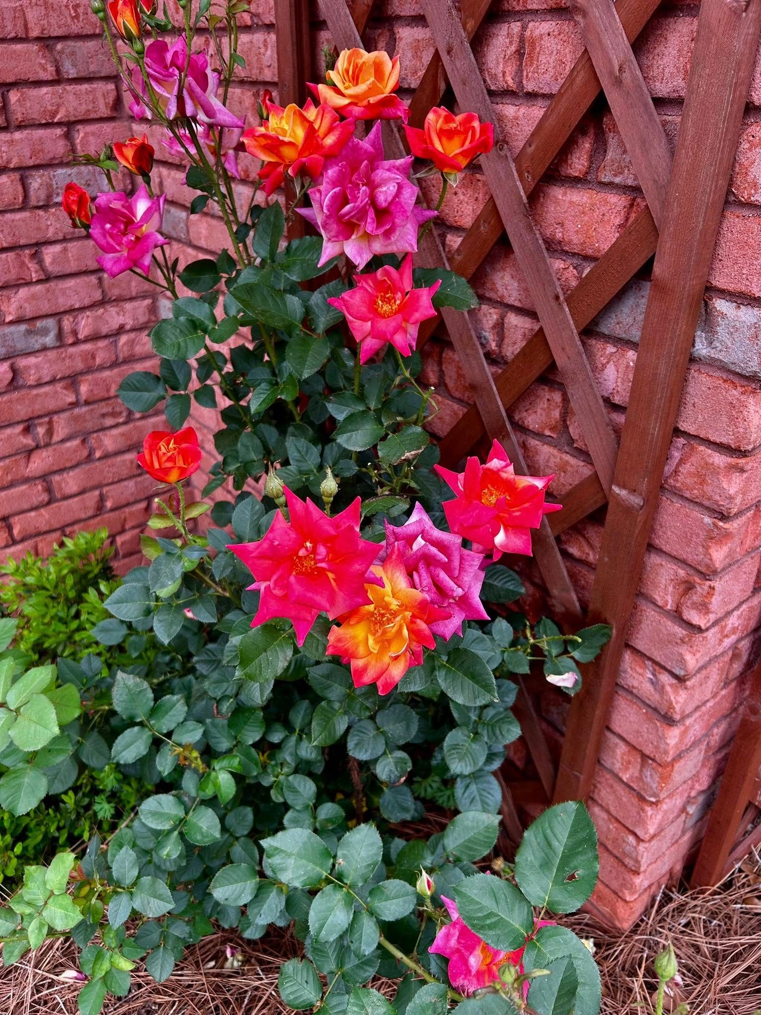  for Old Florida Lawncare in Baker, FL