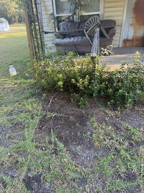 Tree Removal for Hawkins Tree Service & Land Management in Richmond Hill, GA