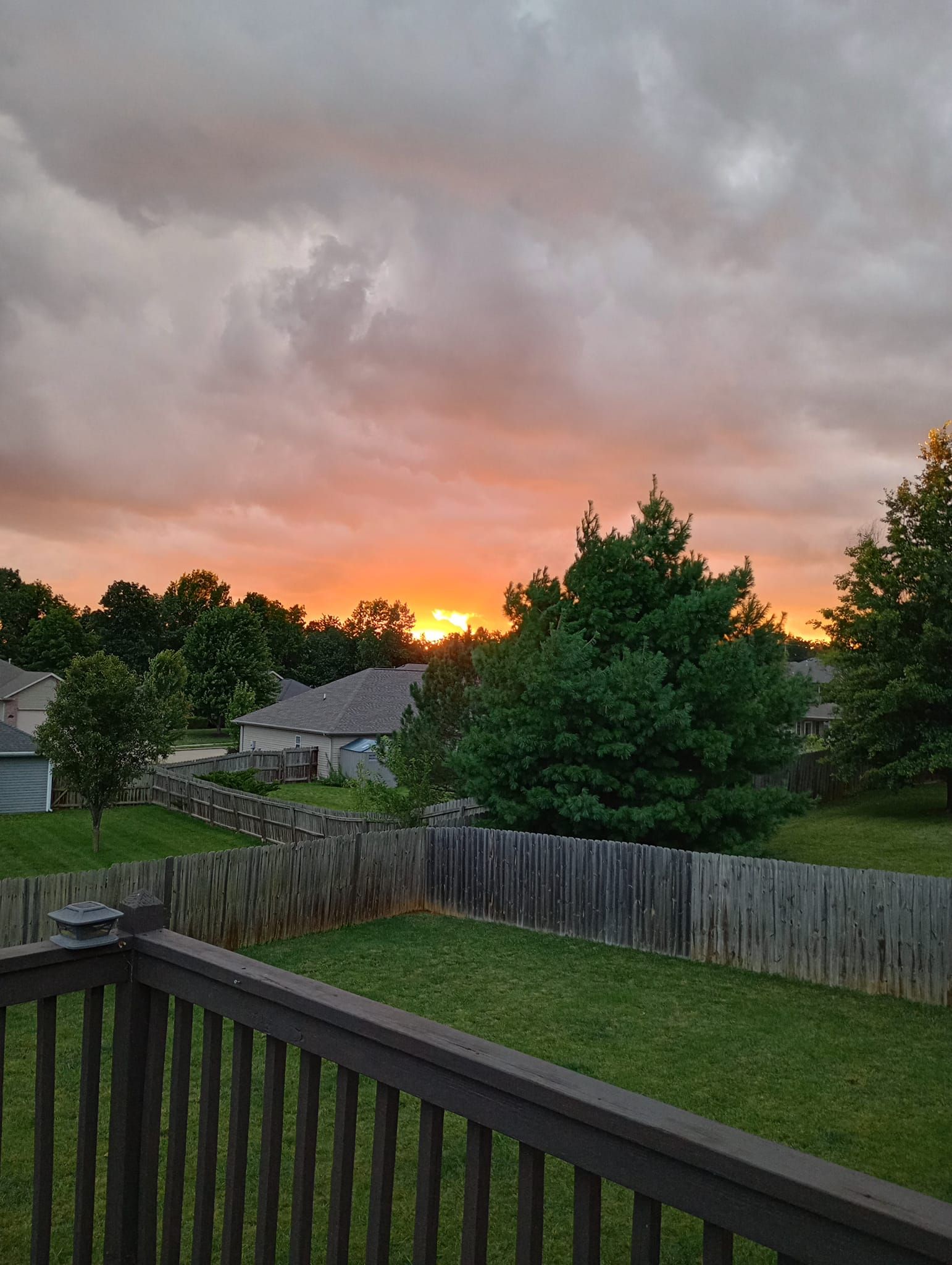  for Sky High Tree Service in Columbia, MO