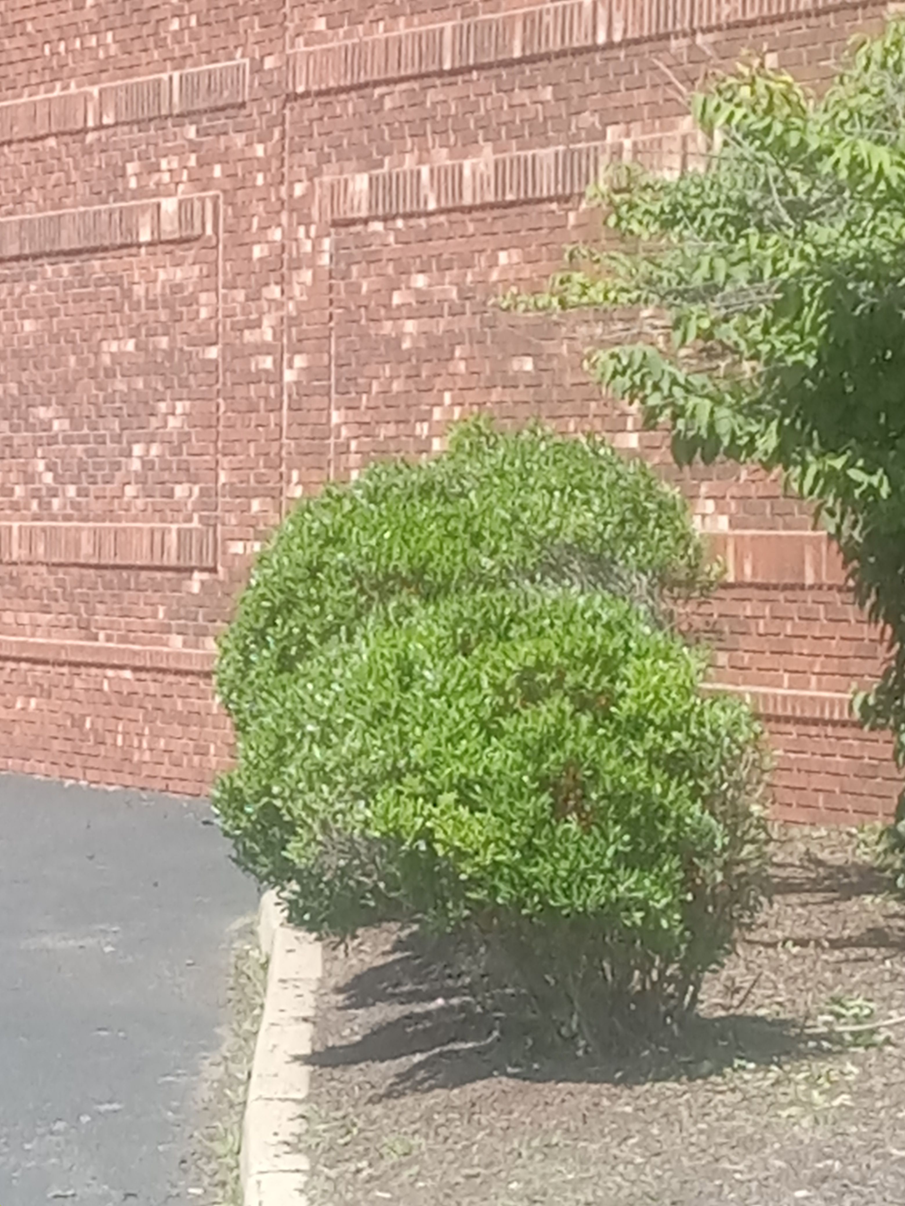  for K Brown's Property Maintenance in Pittsfield, MA