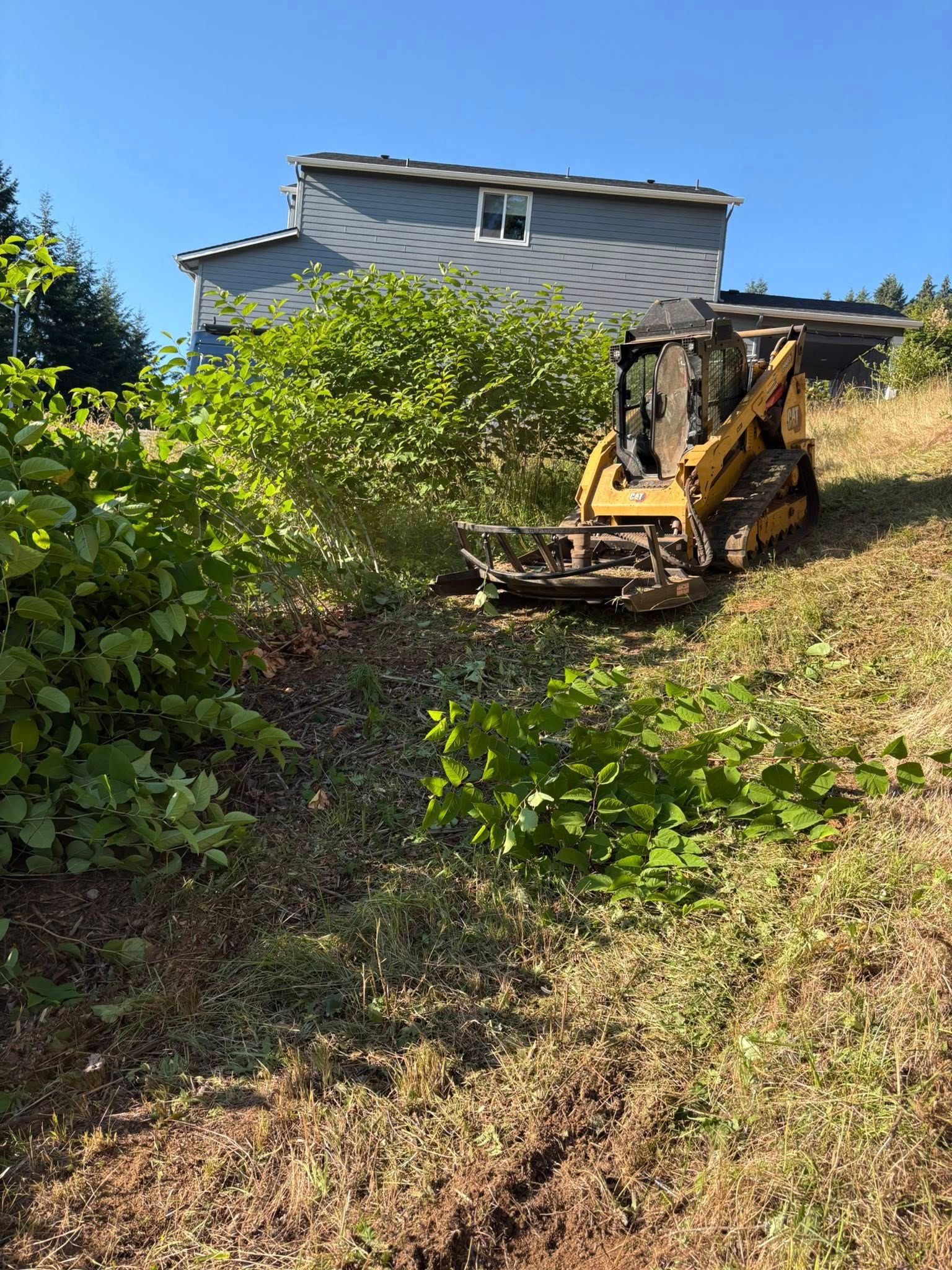 for Limitless Excavation & Land Clearing in Eugene, OR