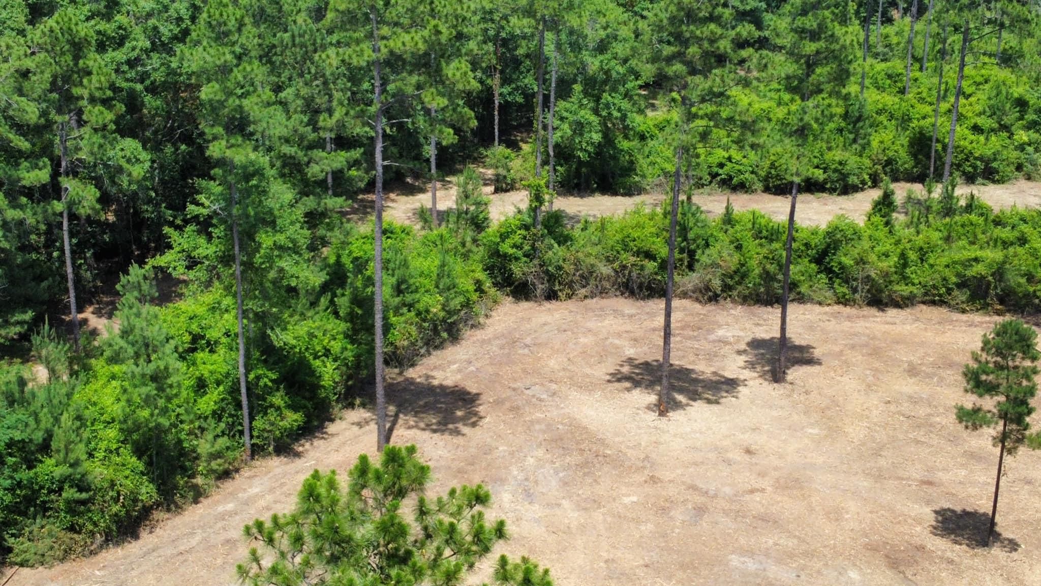 All Photos for White’s Land Maintenance in Milton,, FL