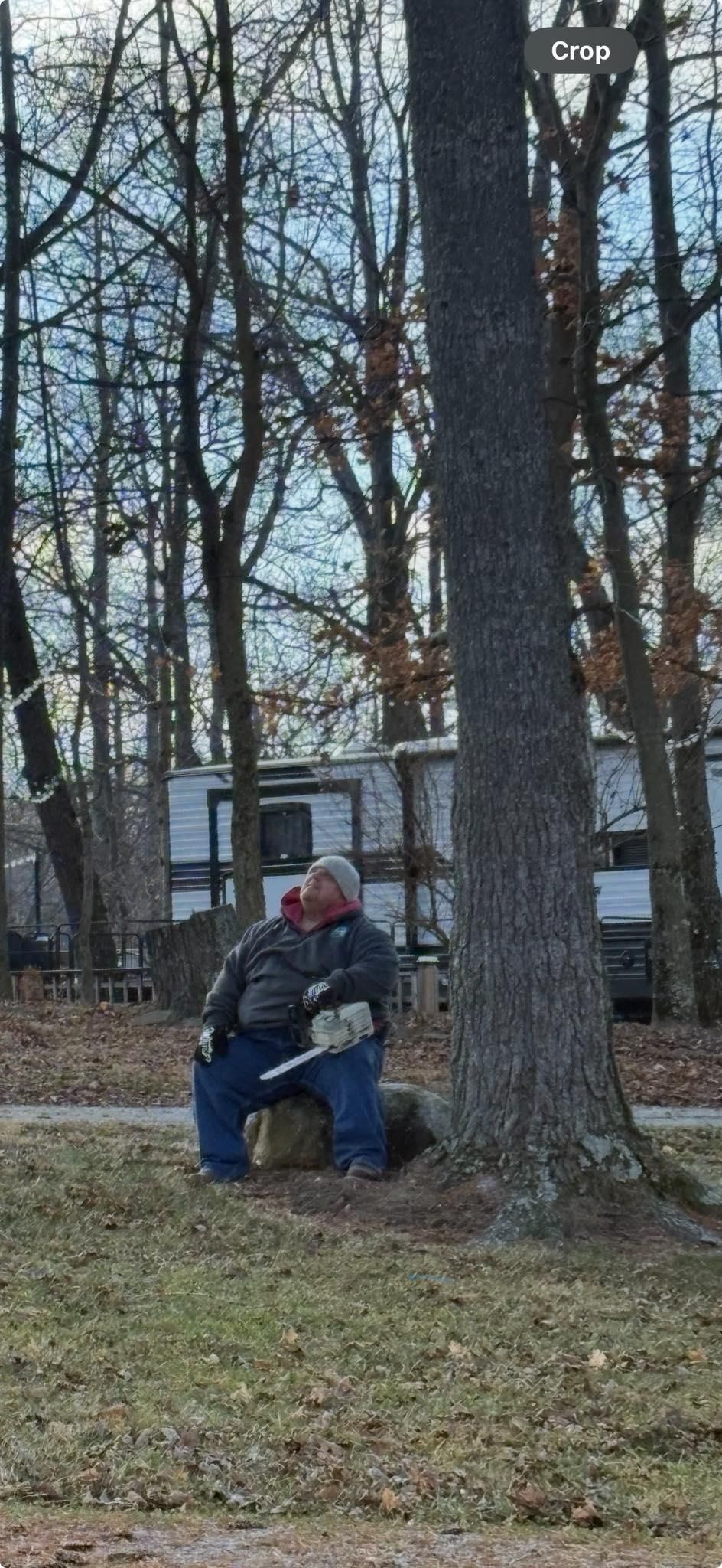  for Dig-It Tree Company in Mason, OH