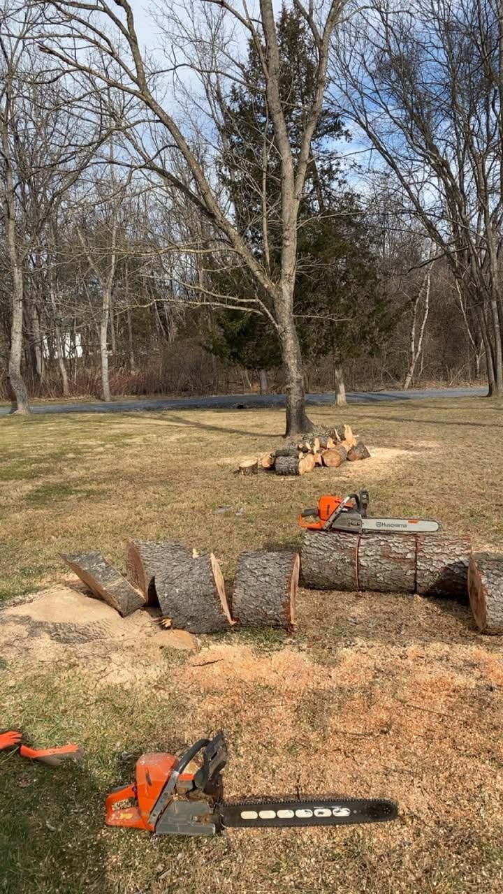 All Photos for Gray's Tree Service  in Shenandoah County, VA