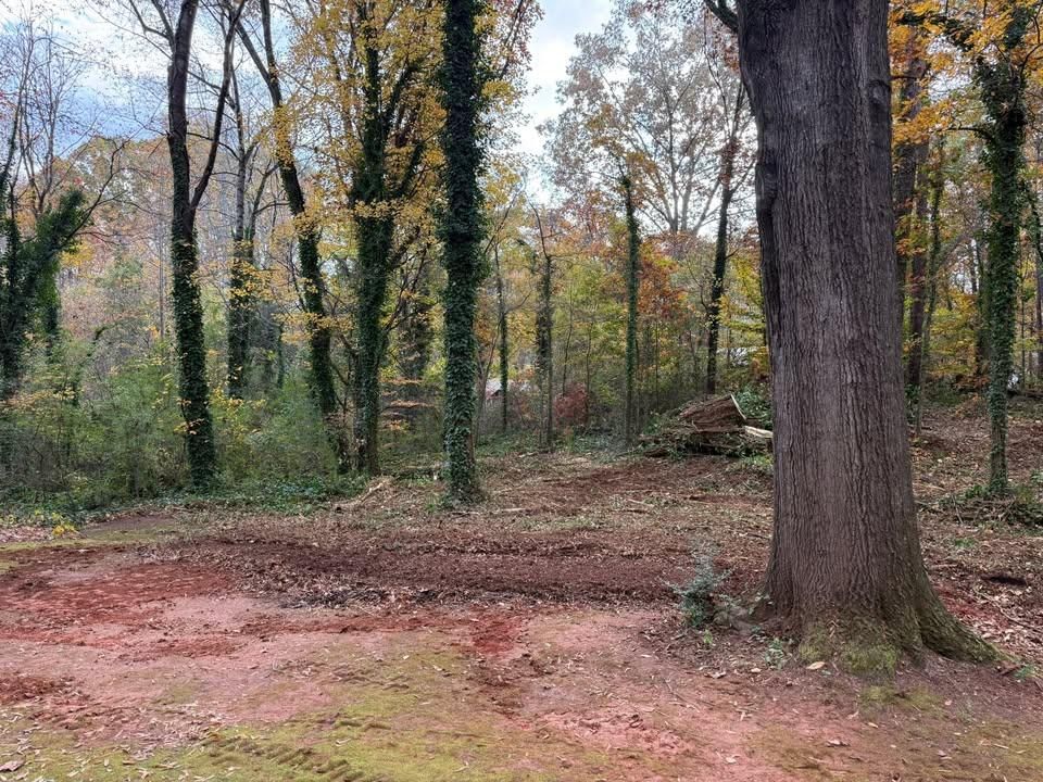  for Down South Tree Care and Landscaping in Maiden, NC