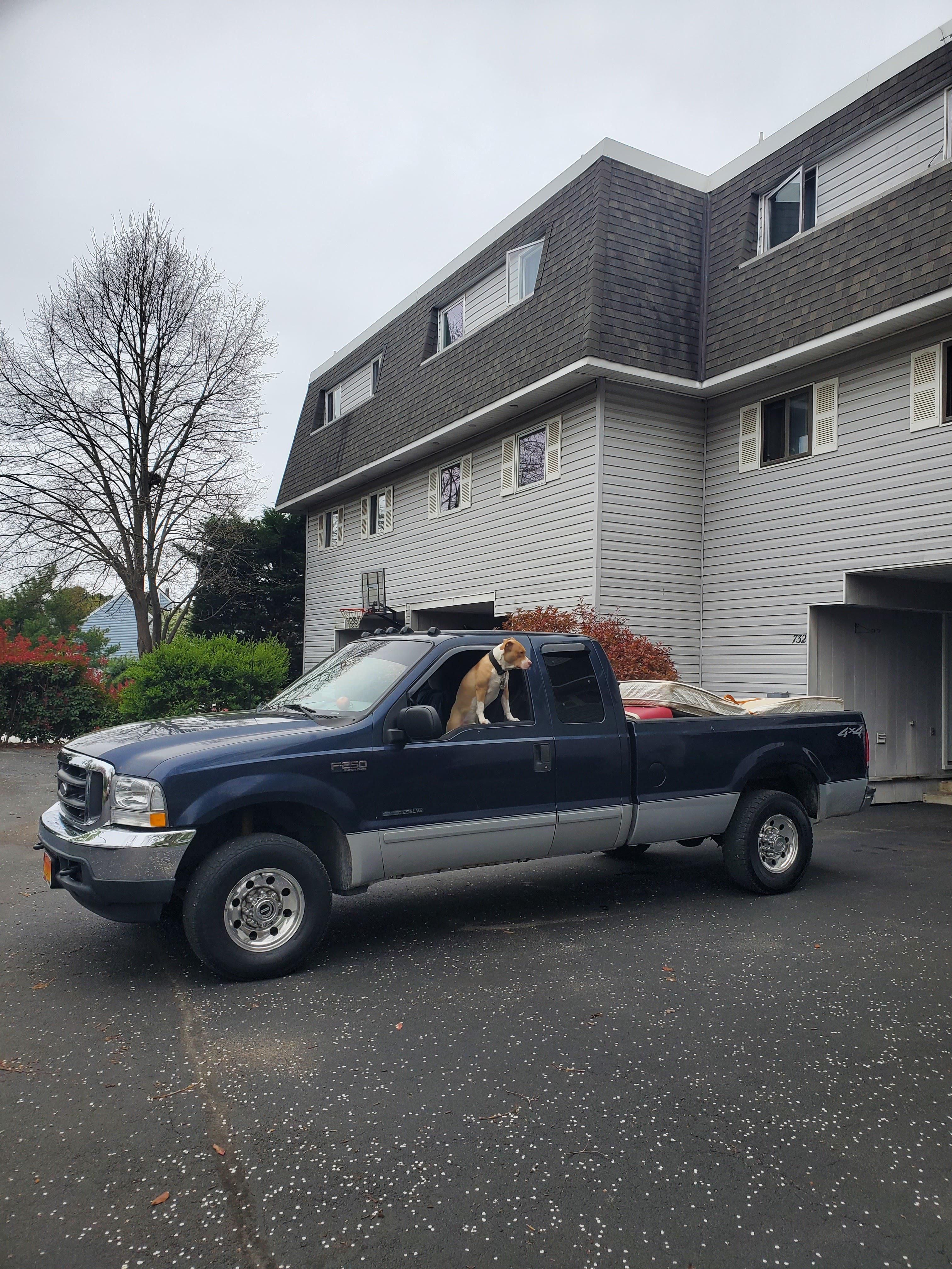  for Turtle's Haul-Away & Junk Removal in Stevensville, MD